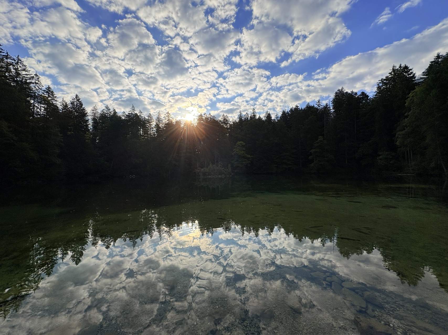 img 6626.heic compressed