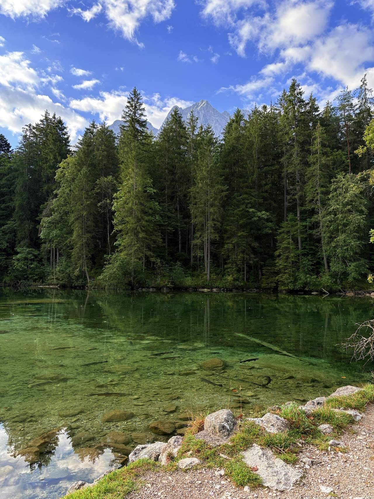 img 6629.heic compressed