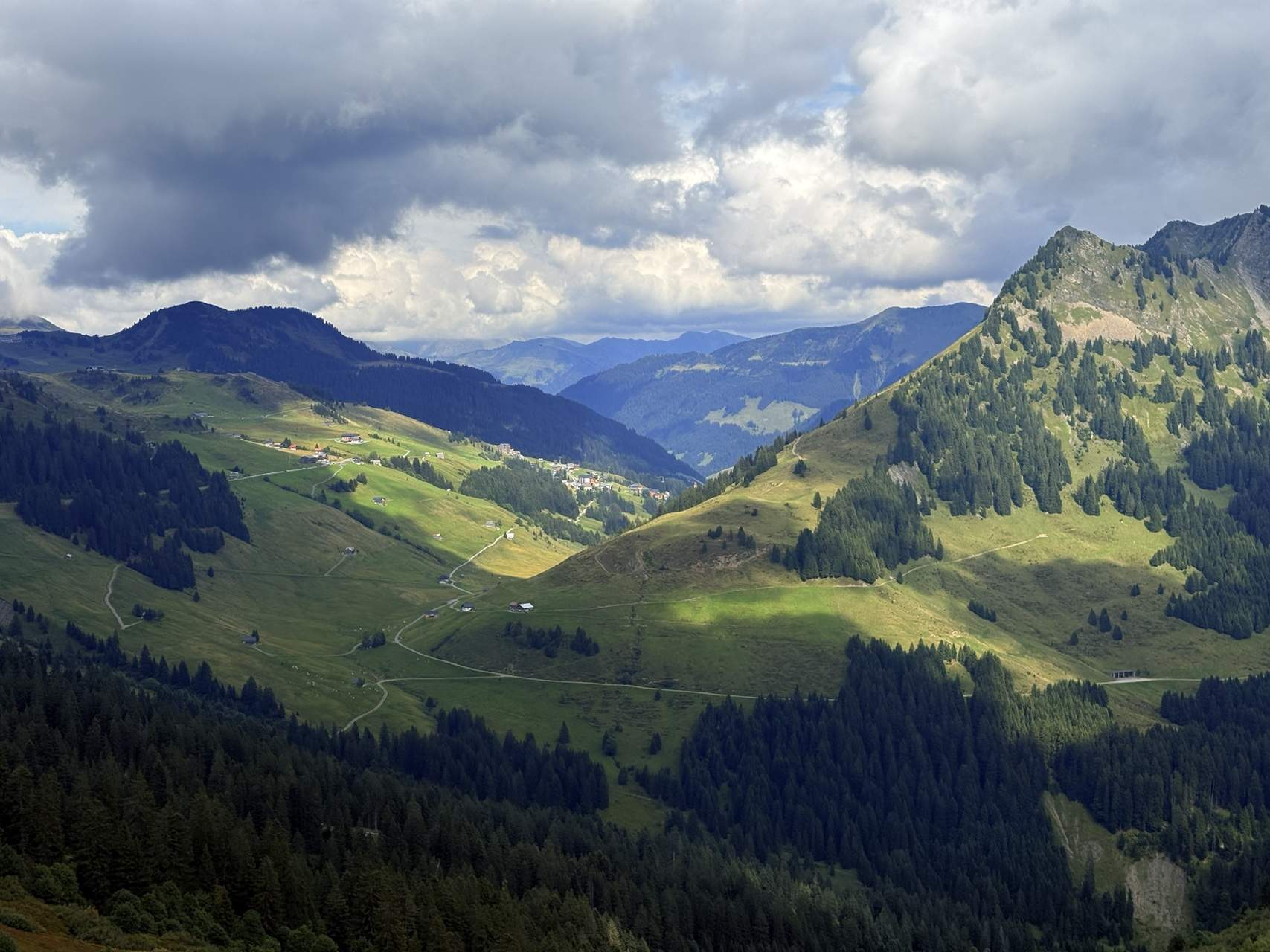 img 6654.heic compressed