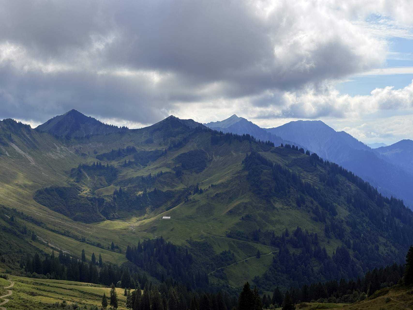 img 6658.heic compressed