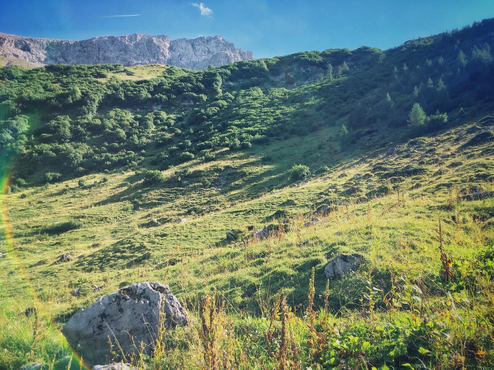 Bild ohne Beschreibung