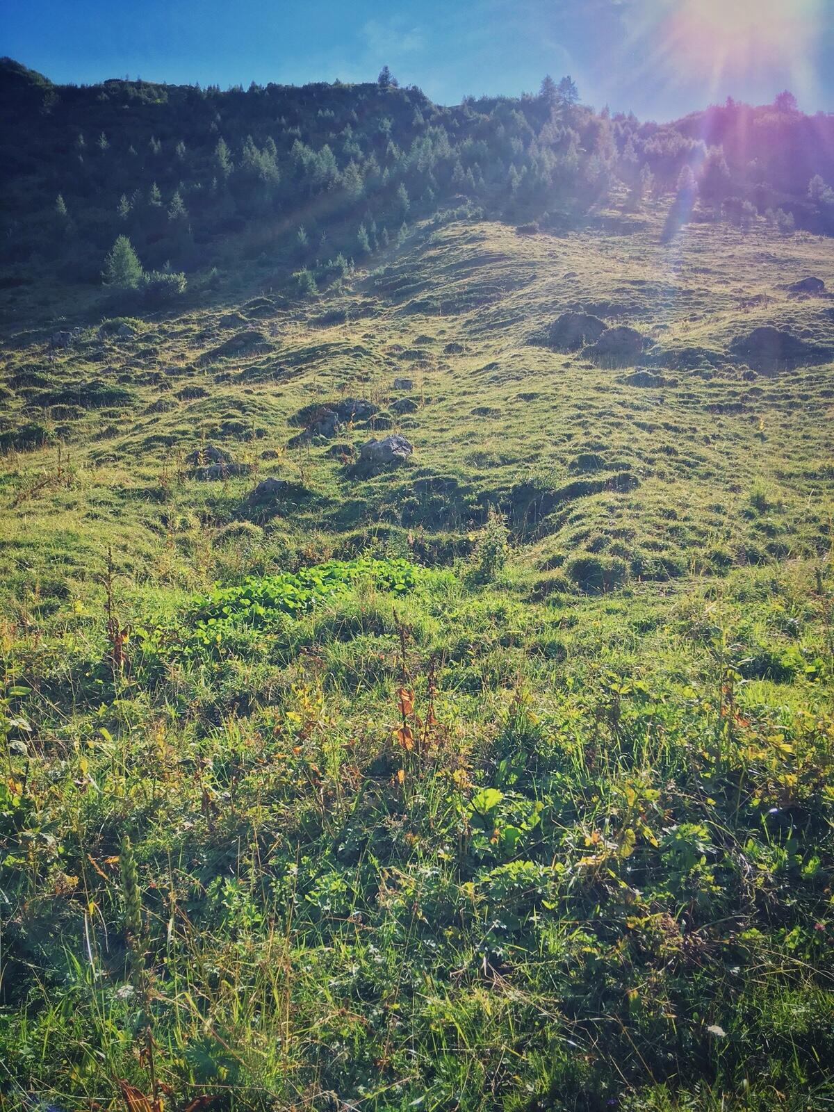 Bild ohne Beschreibung