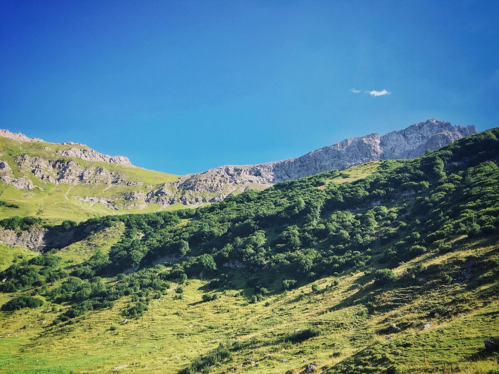 Bild ohne Beschreibung