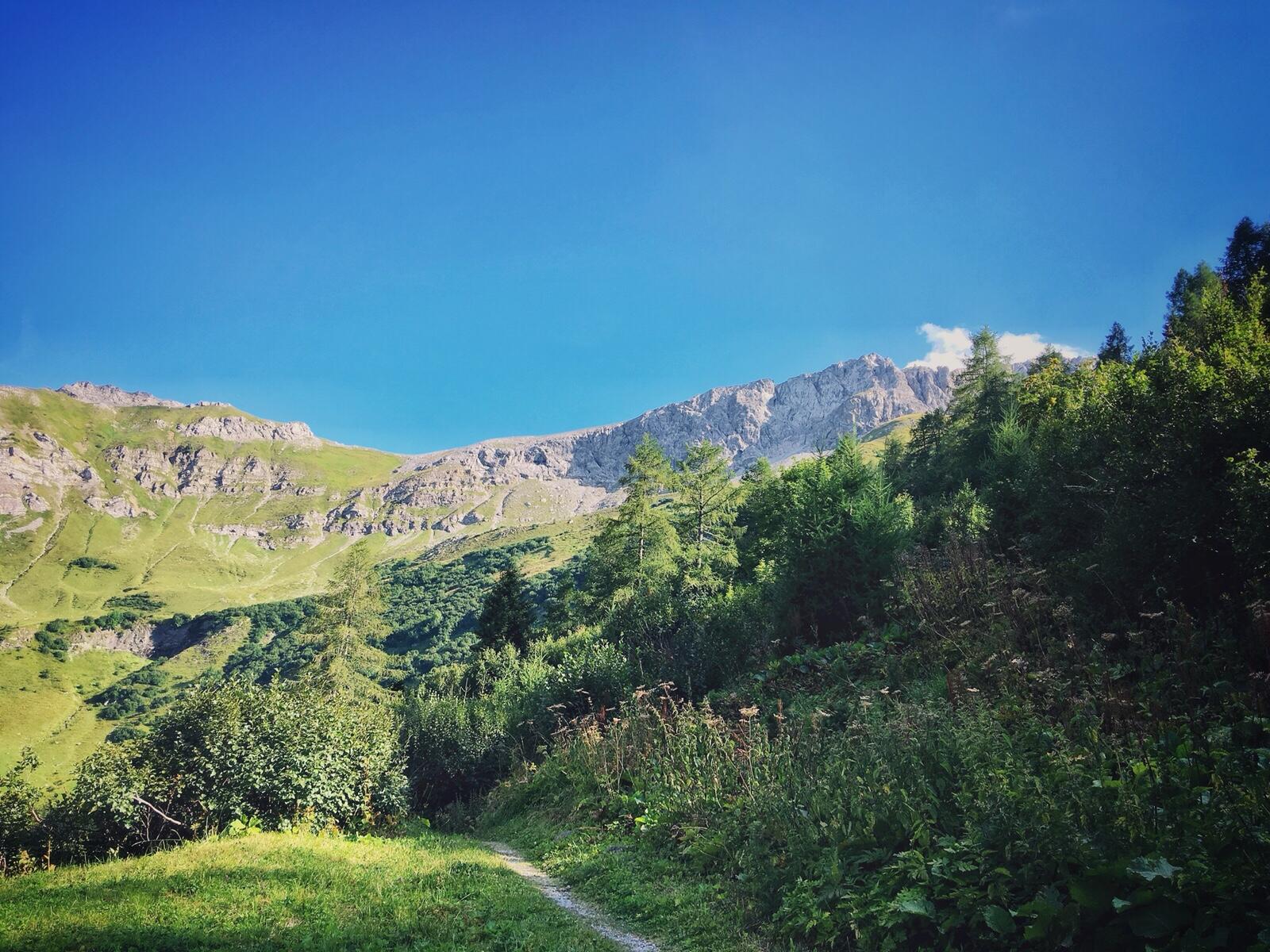 Bild ohne Beschreibung