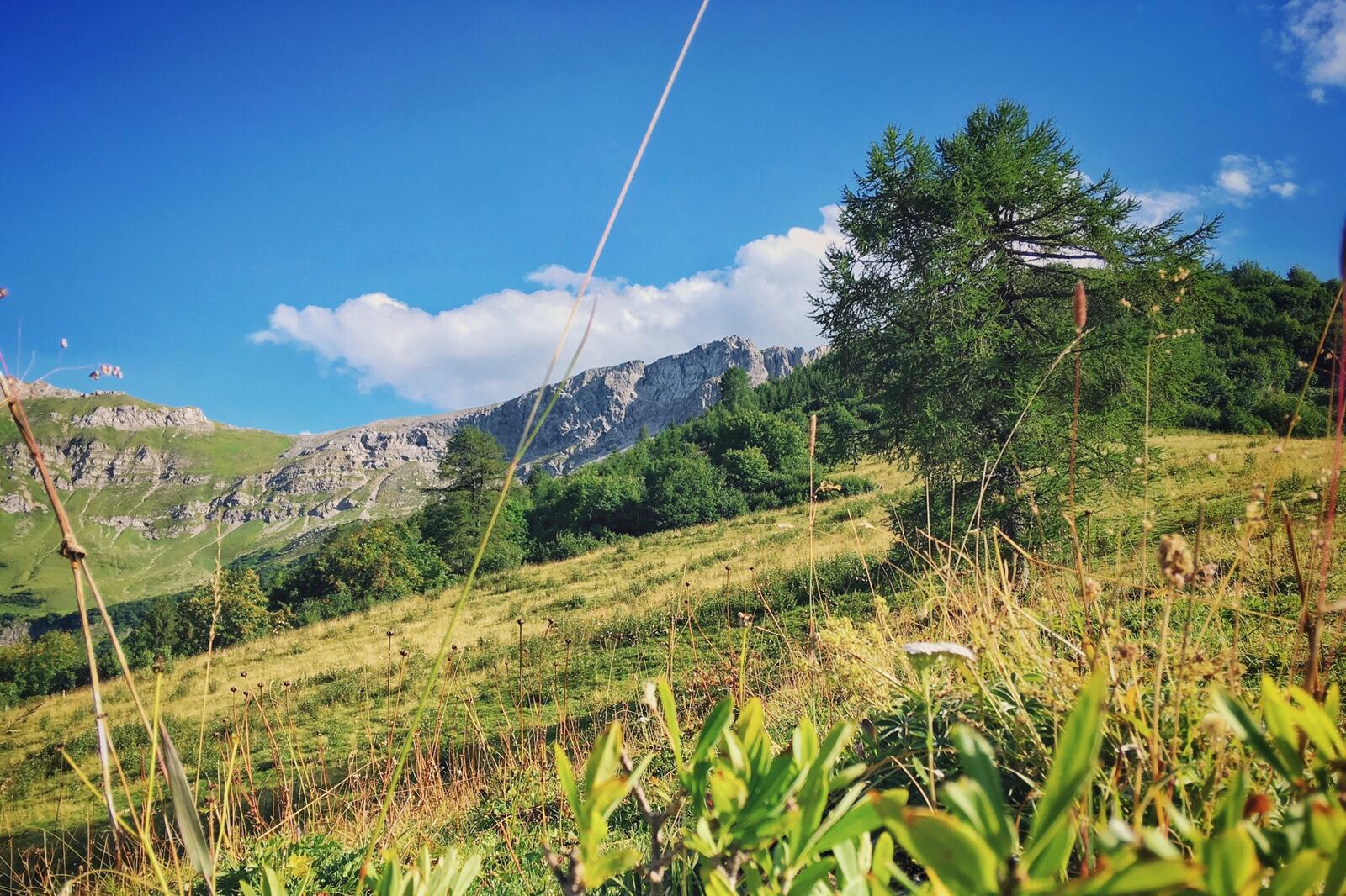 Bild ohne Beschreibung