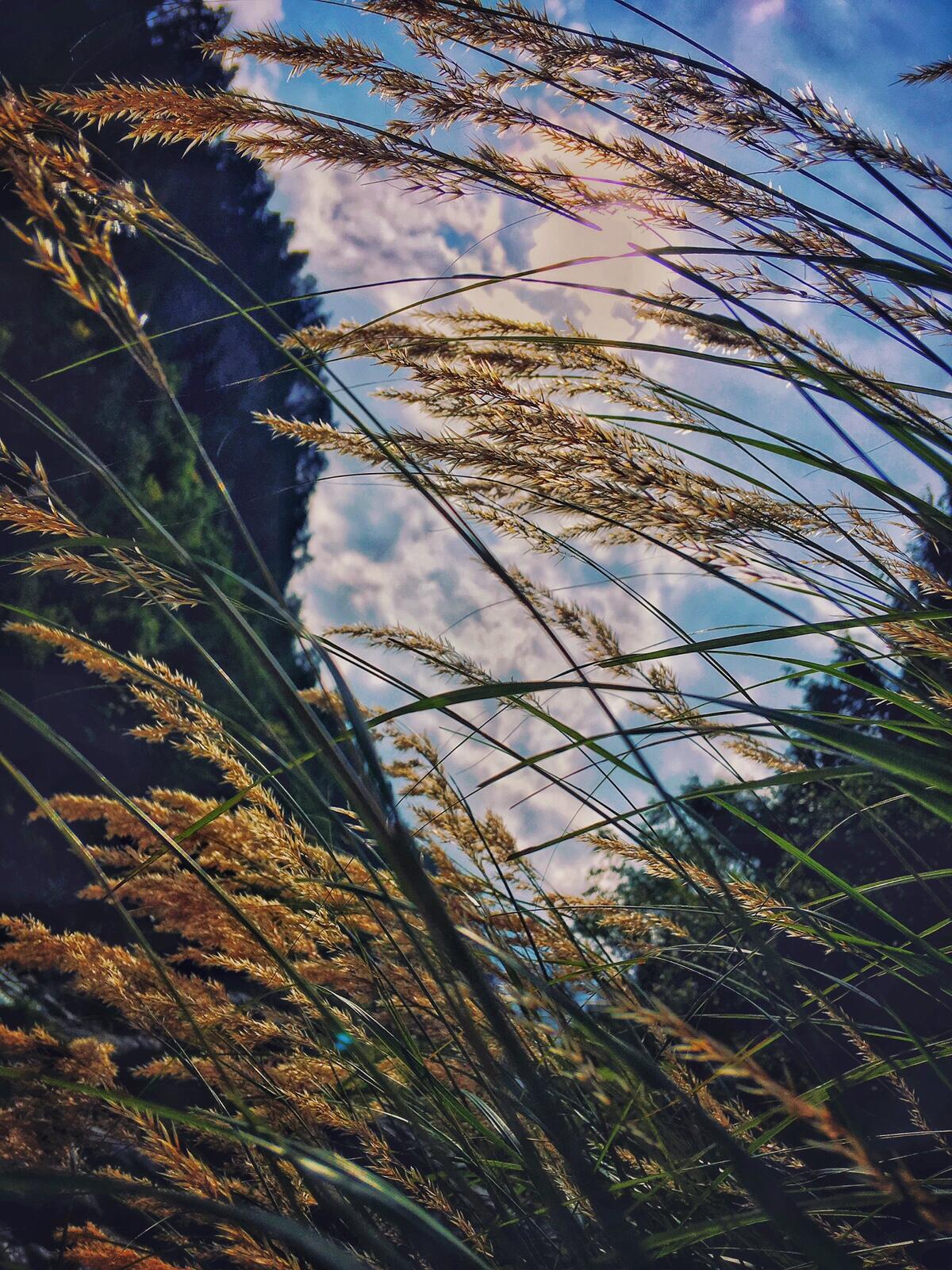 Bild ohne Beschreibung Bild ohne Beschreibung