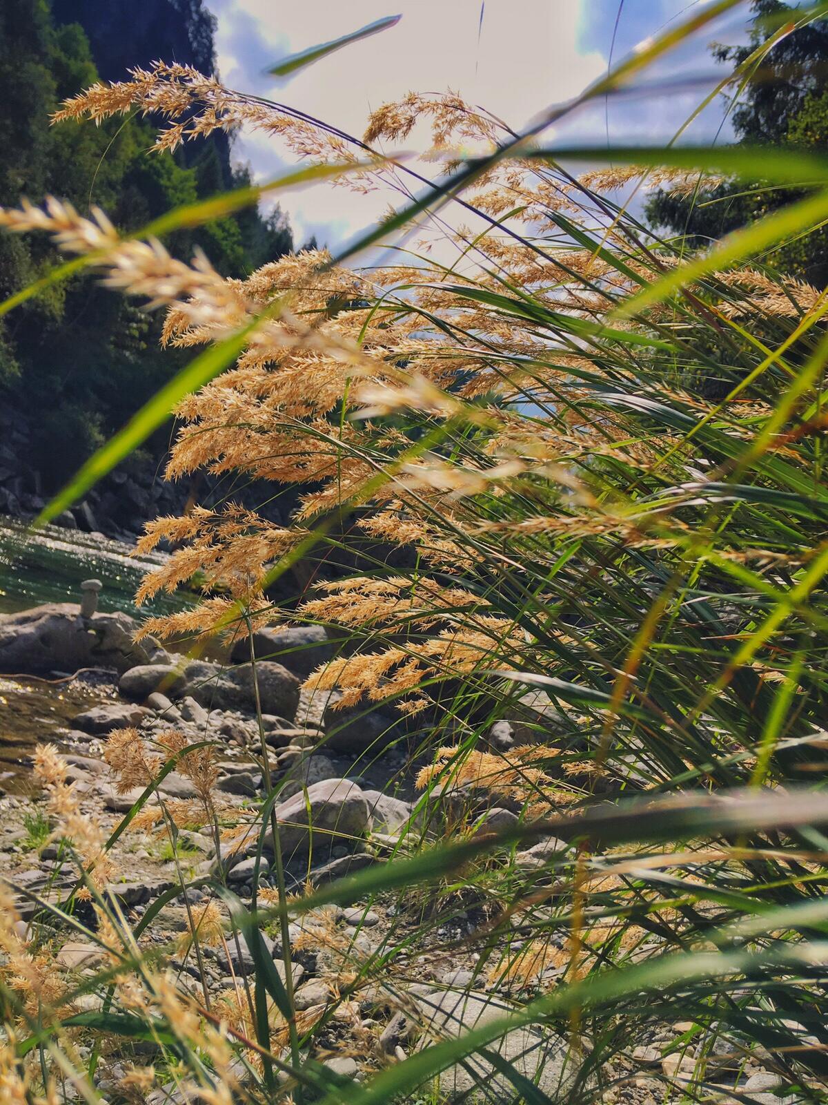 Bild ohne Beschreibung Bild ohne Beschreibung