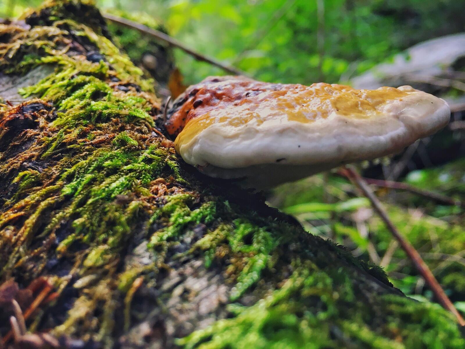 Bild ohne Beschreibung Bild ohne Beschreibung