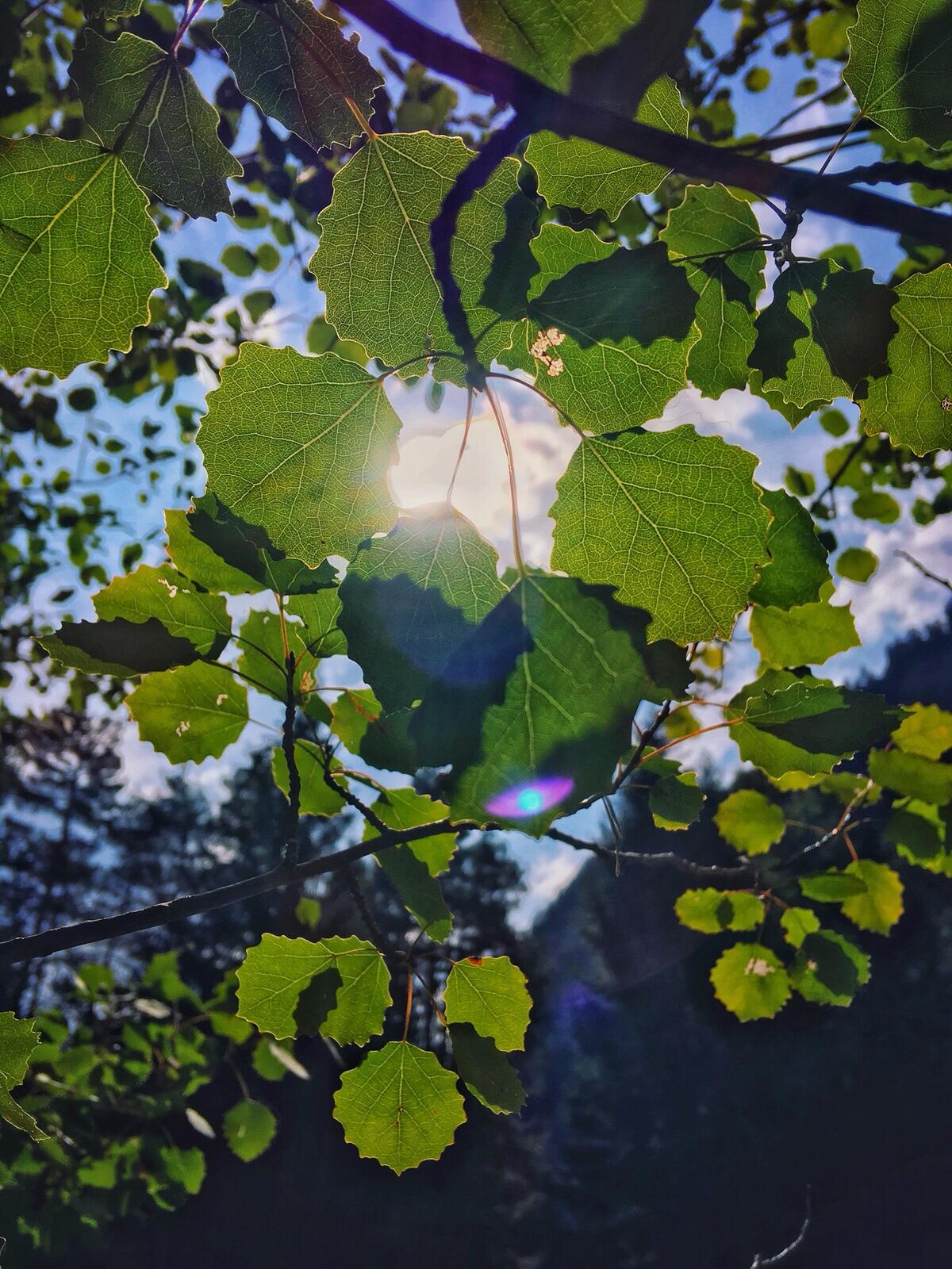 Bild ohne Beschreibung Bild ohne Beschreibung