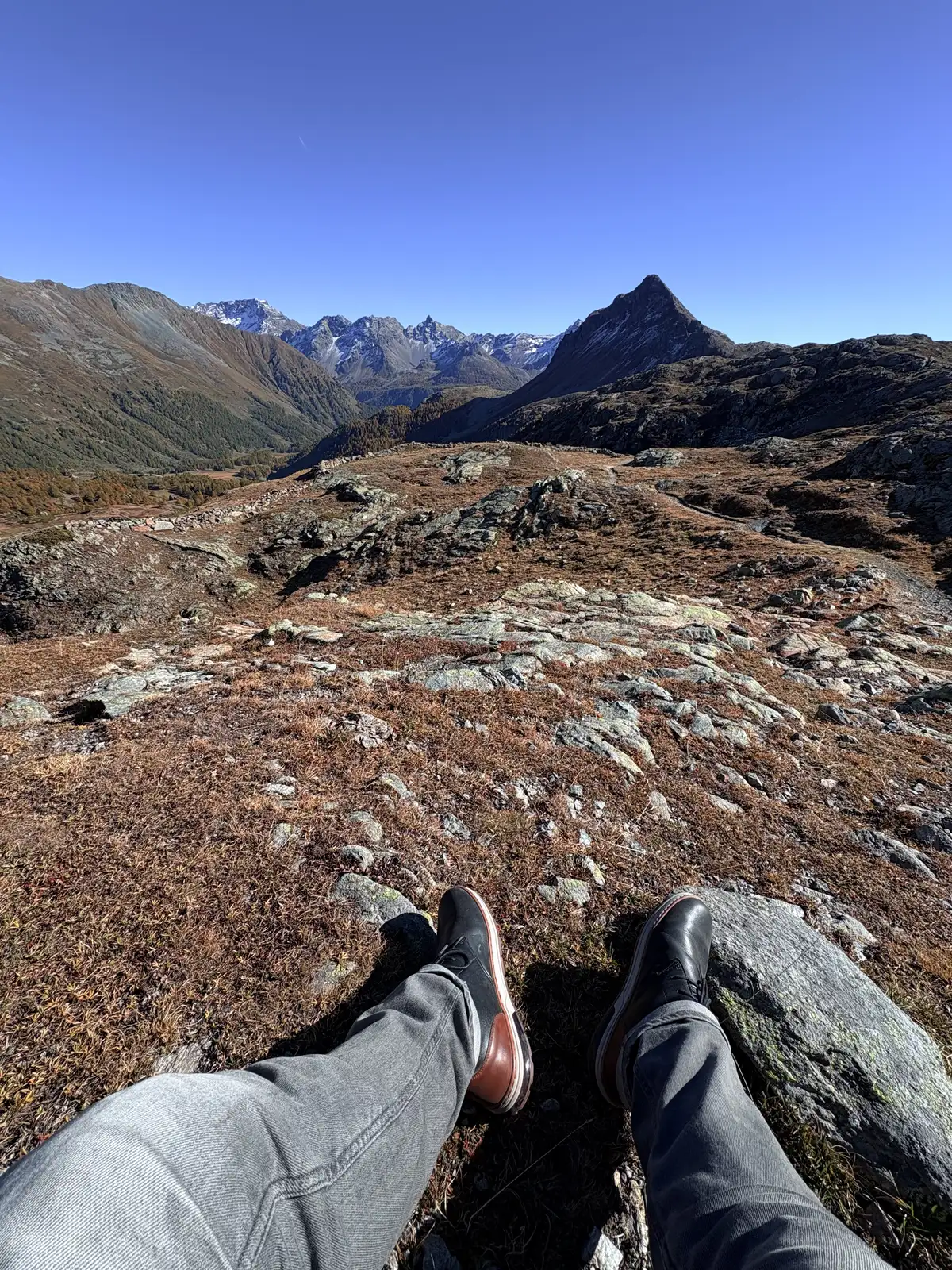 img 7271 ergebnis img 7271 ergebnis