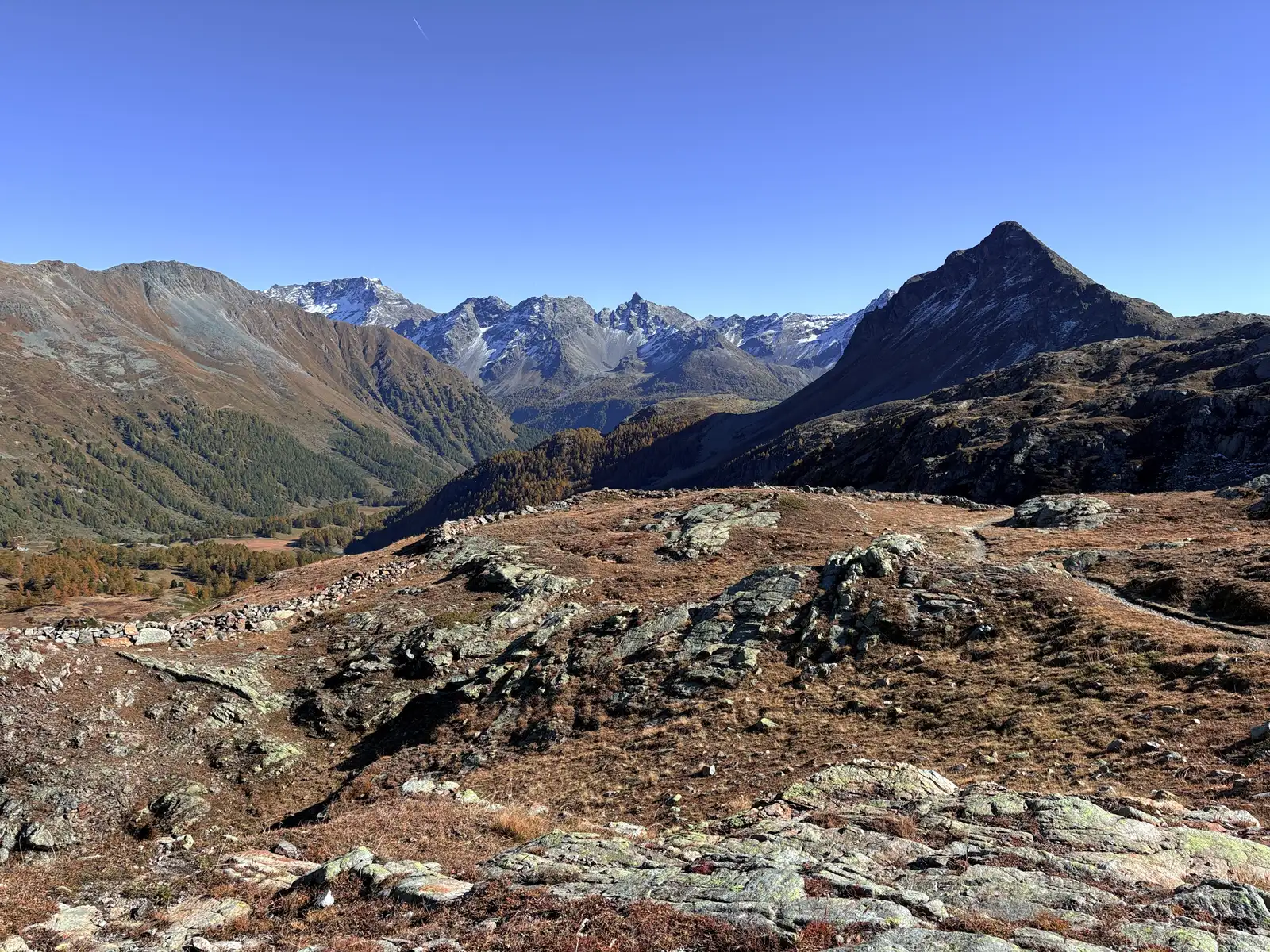 img 7273 ergebnis img 7273 ergebnis