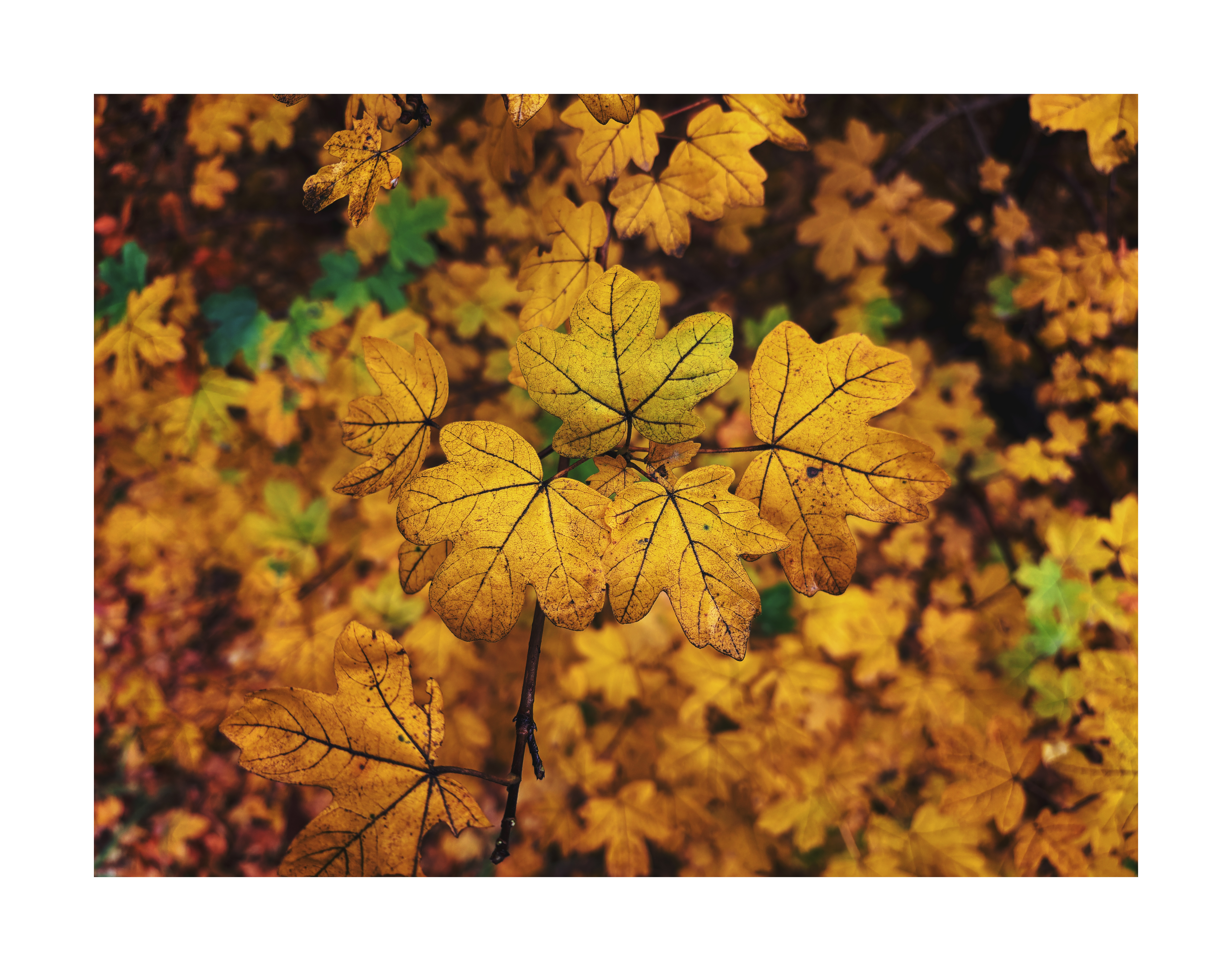 Bild ohne Beschreibung