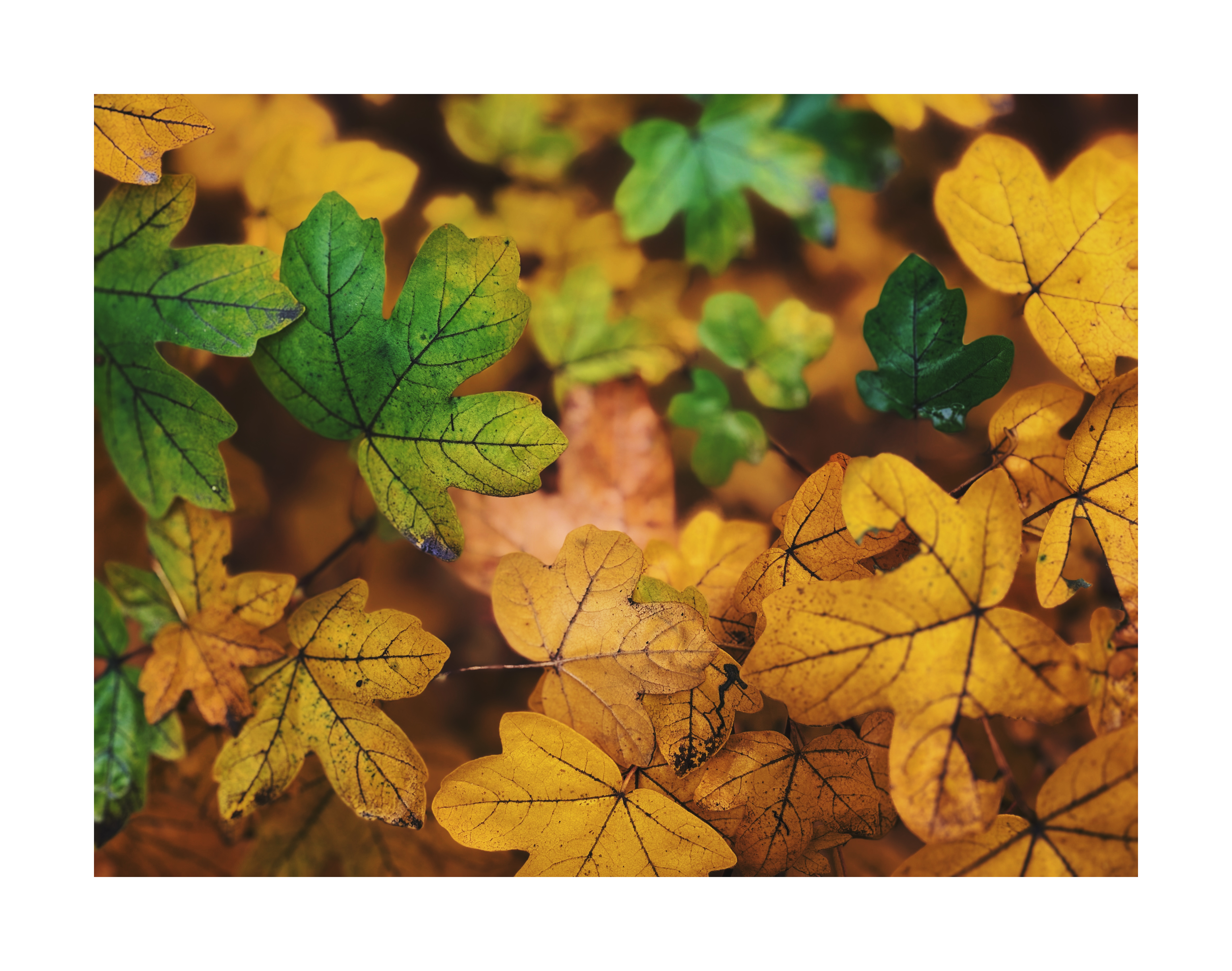 Bild ohne Beschreibung