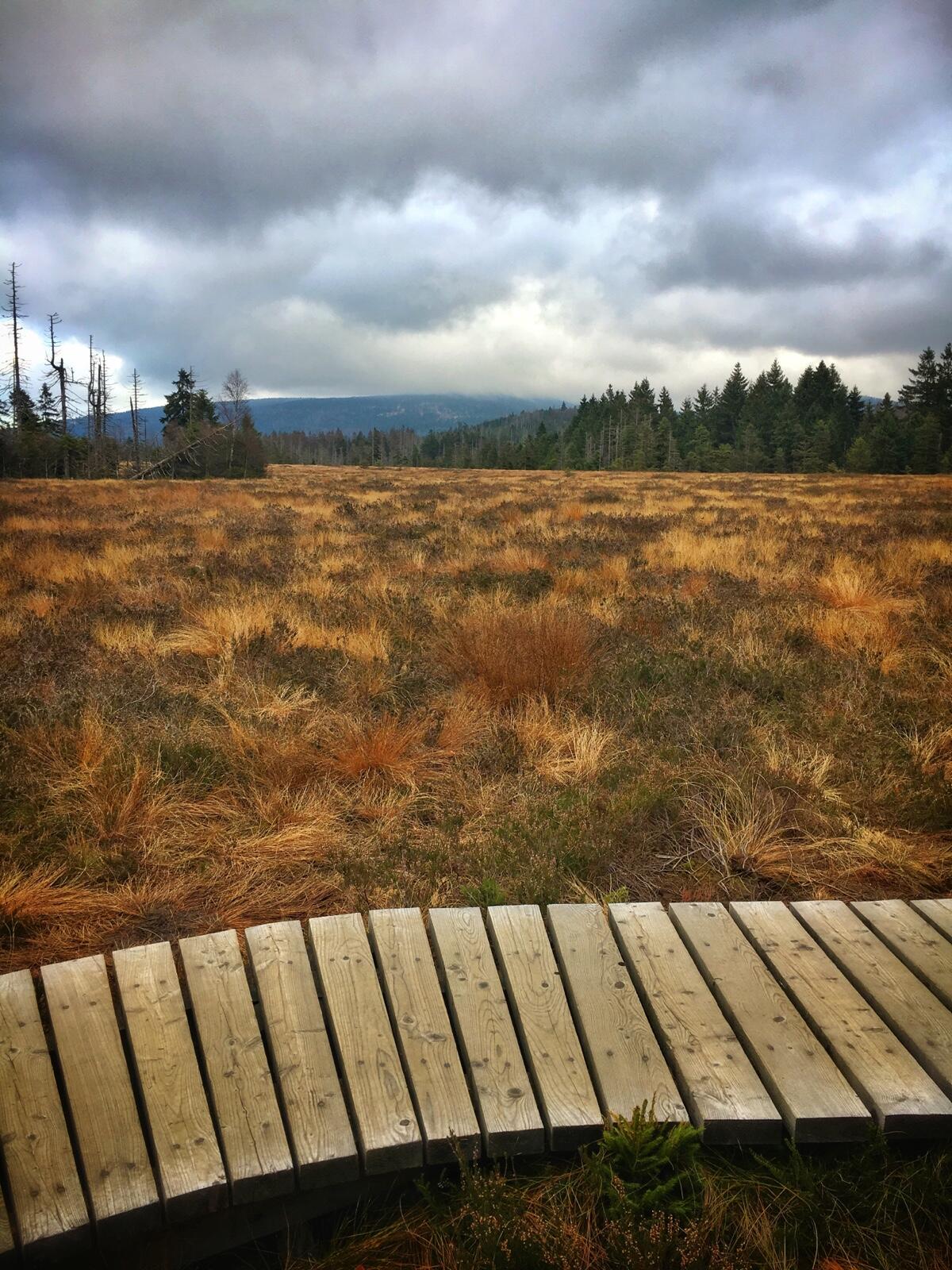 Bild ohne Beschreibung