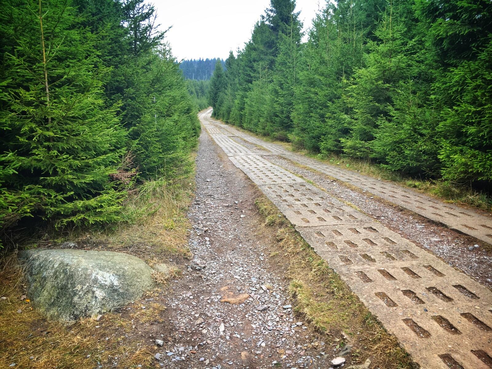 Bild ohne Beschreibung