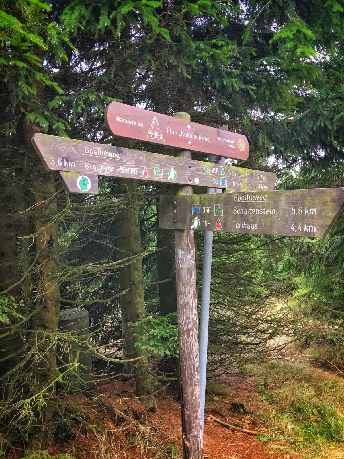 Bild ohne Beschreibung