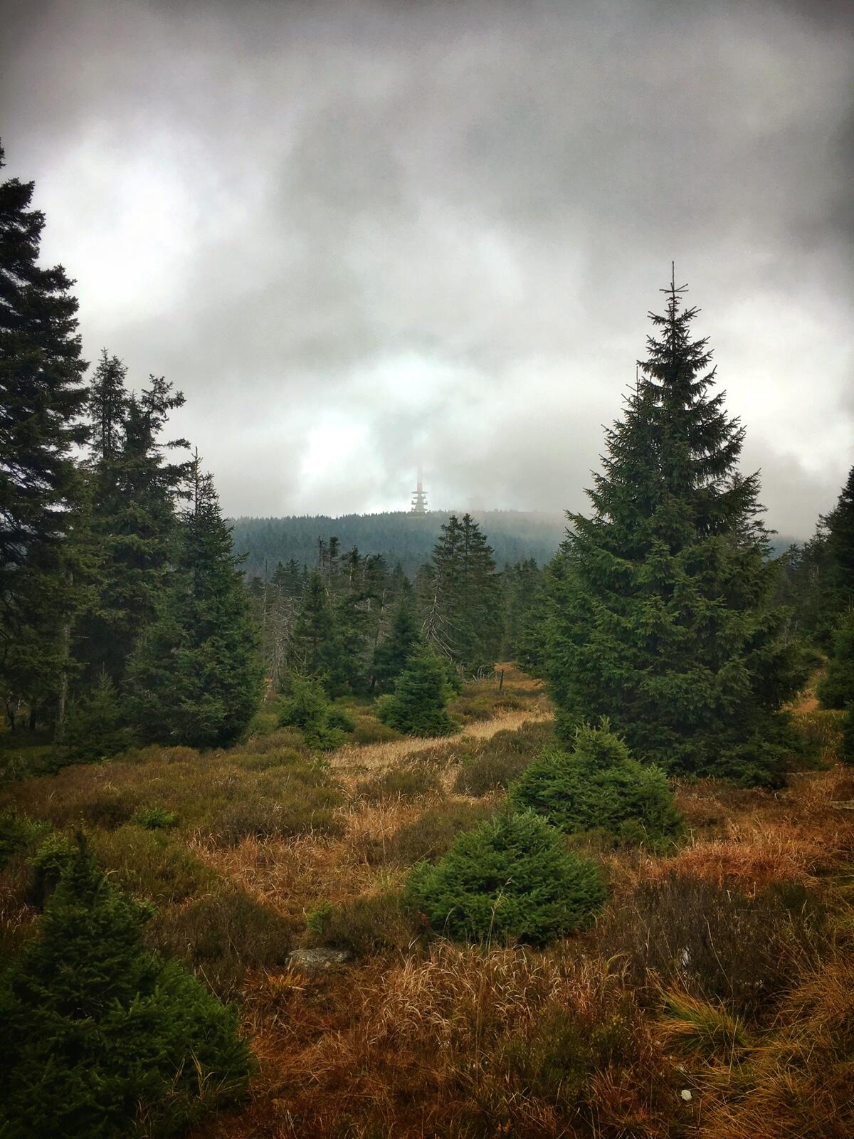 Bild ohne Beschreibung