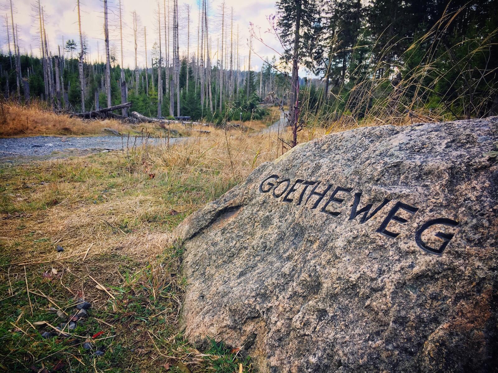 Bild ohne Beschreibung