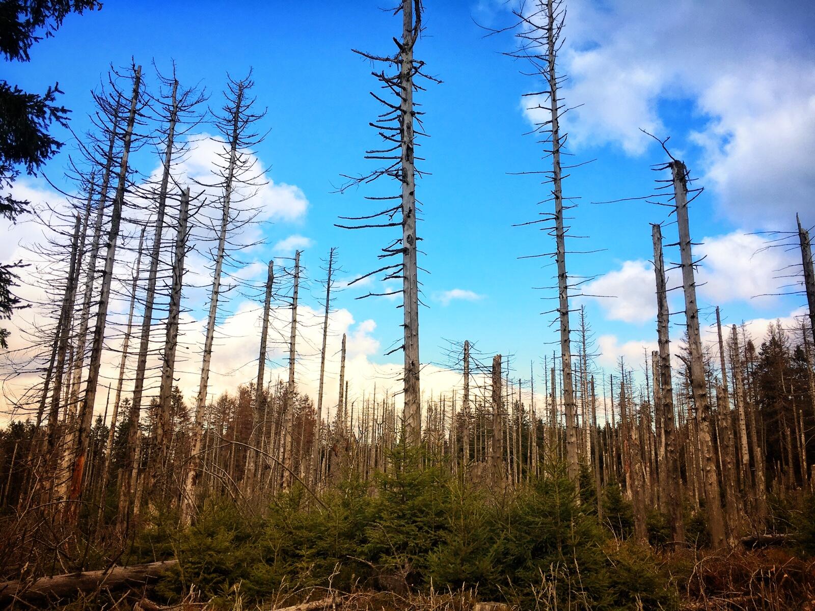 Bild ohne Beschreibung