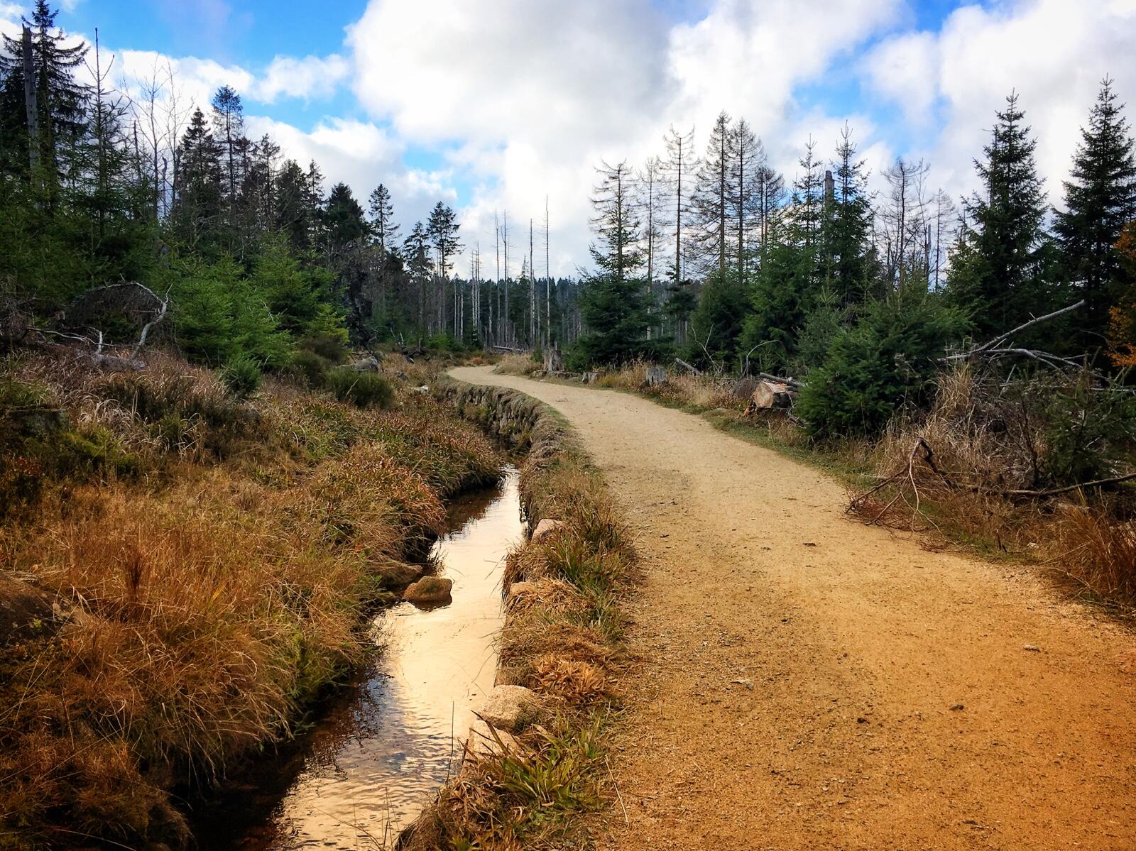 Bild ohne Beschreibung