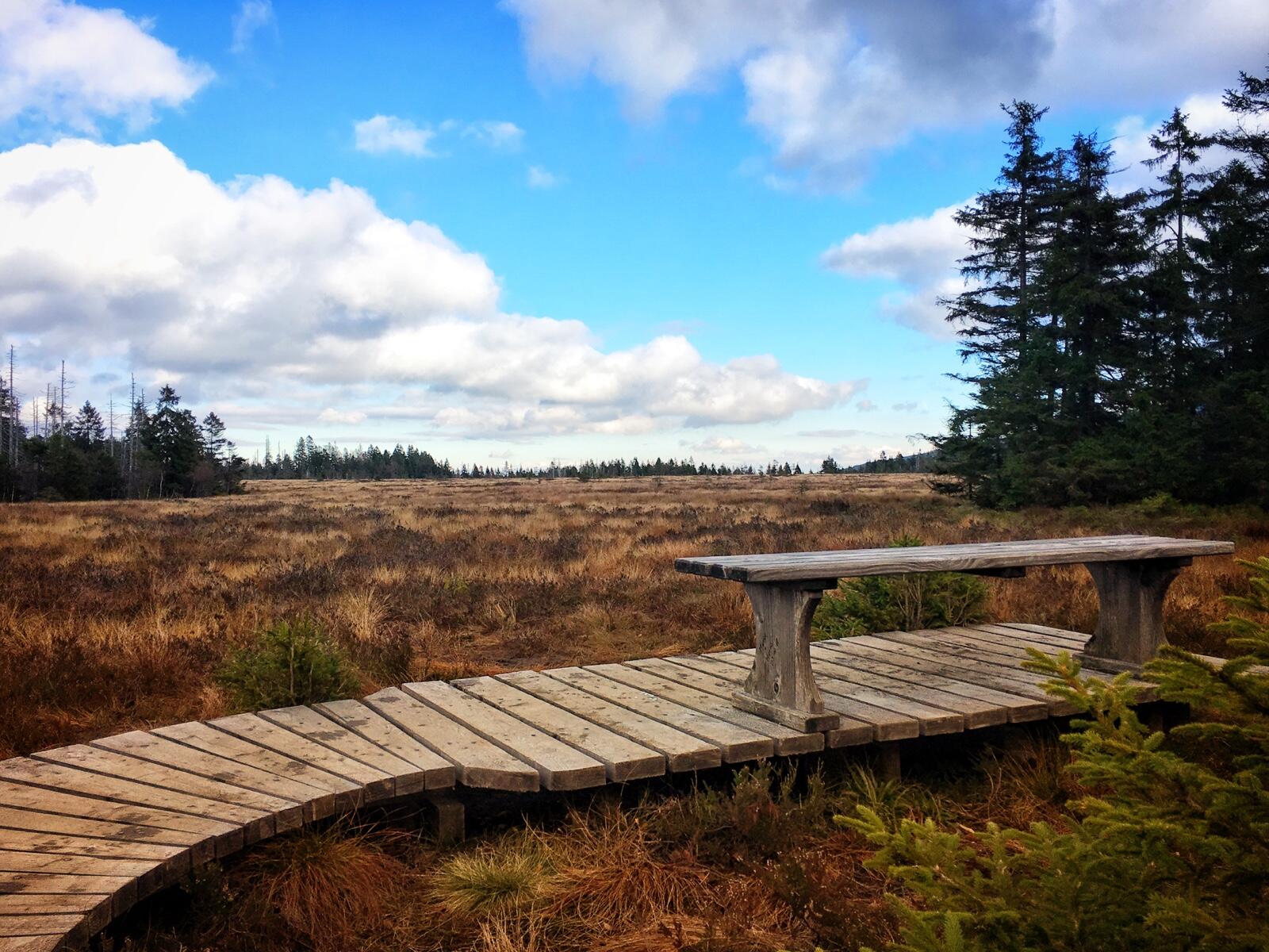 Bild ohne Beschreibung