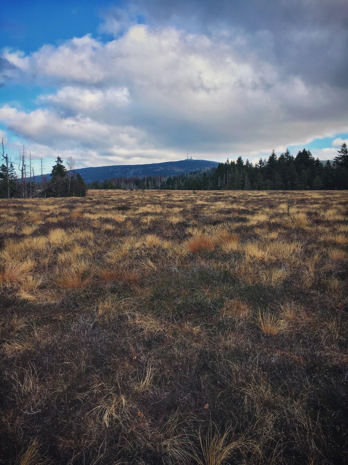 Bild ohne Beschreibung