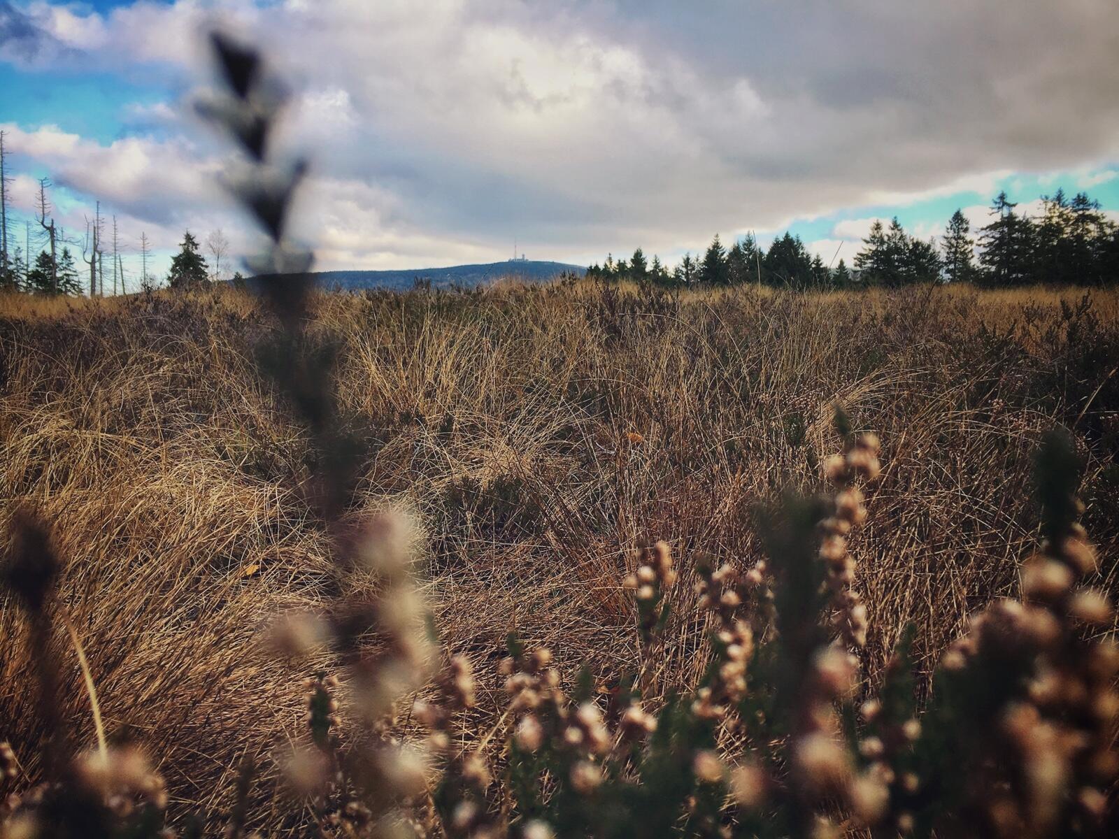 Bild ohne Beschreibung