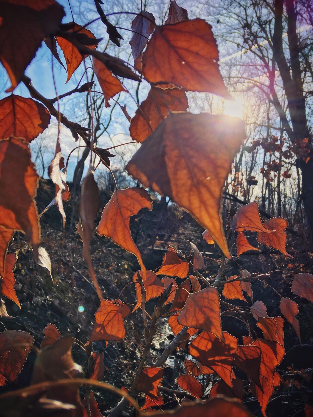 Bild ohne Beschreibung Bild ohne Beschreibung