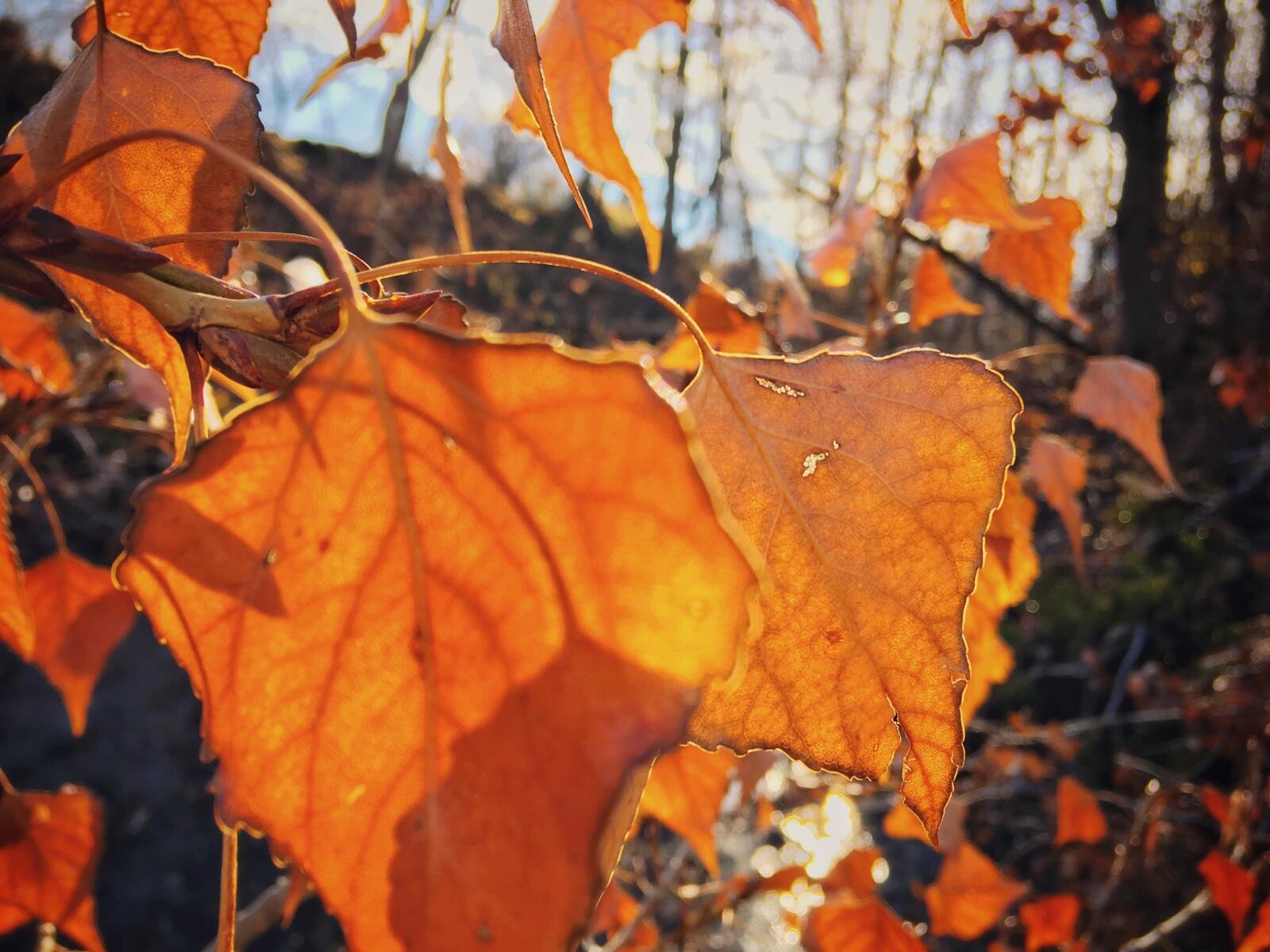 Bild ohne Beschreibung Bild ohne Beschreibung
