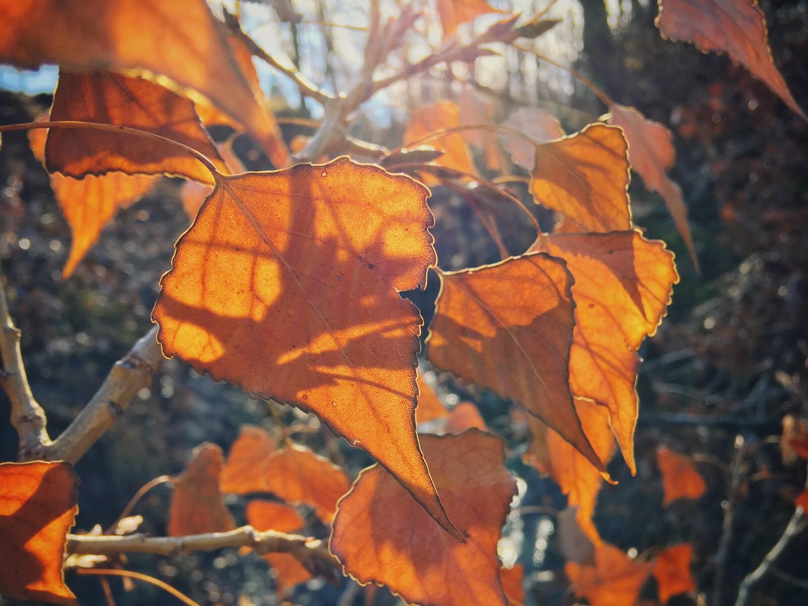 Bild ohne Beschreibung Bild ohne Beschreibung