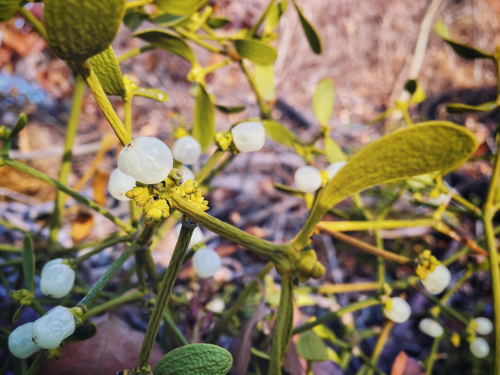Bild ohne Beschreibung Bild ohne Beschreibung