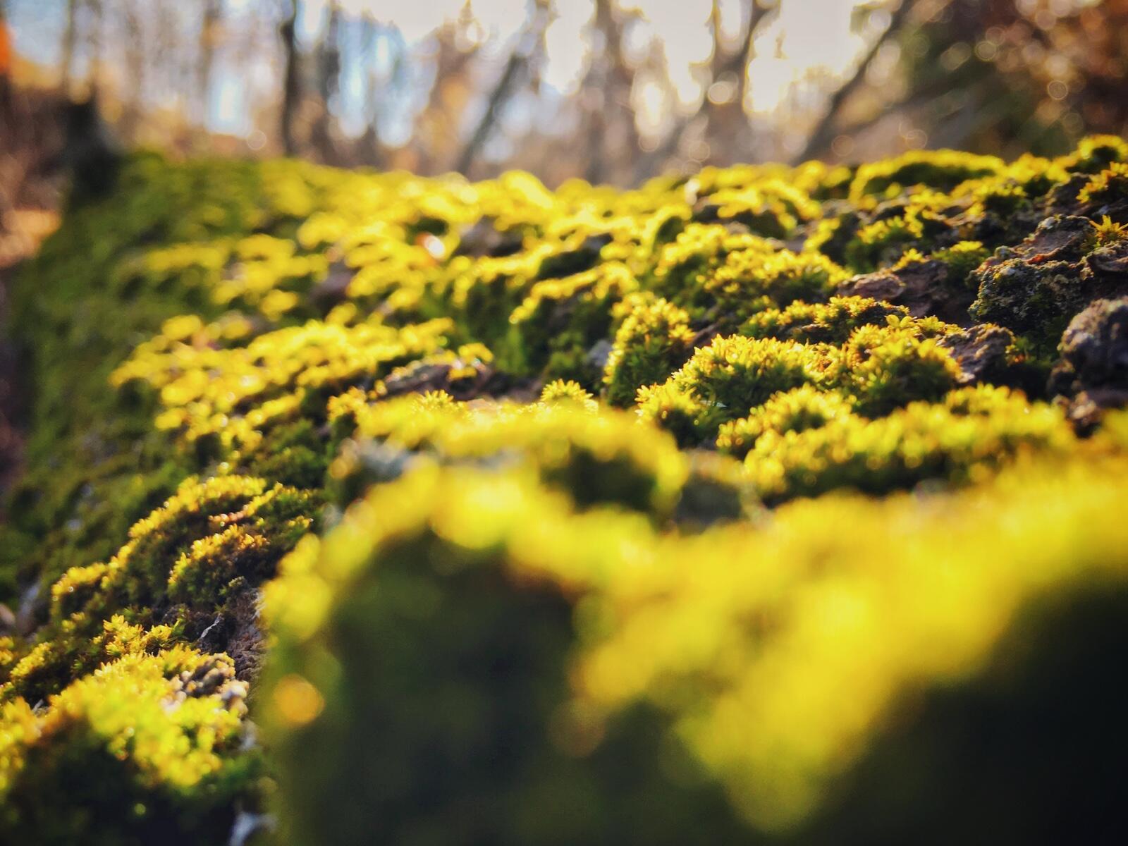 Bild ohne Beschreibung Bild ohne Beschreibung