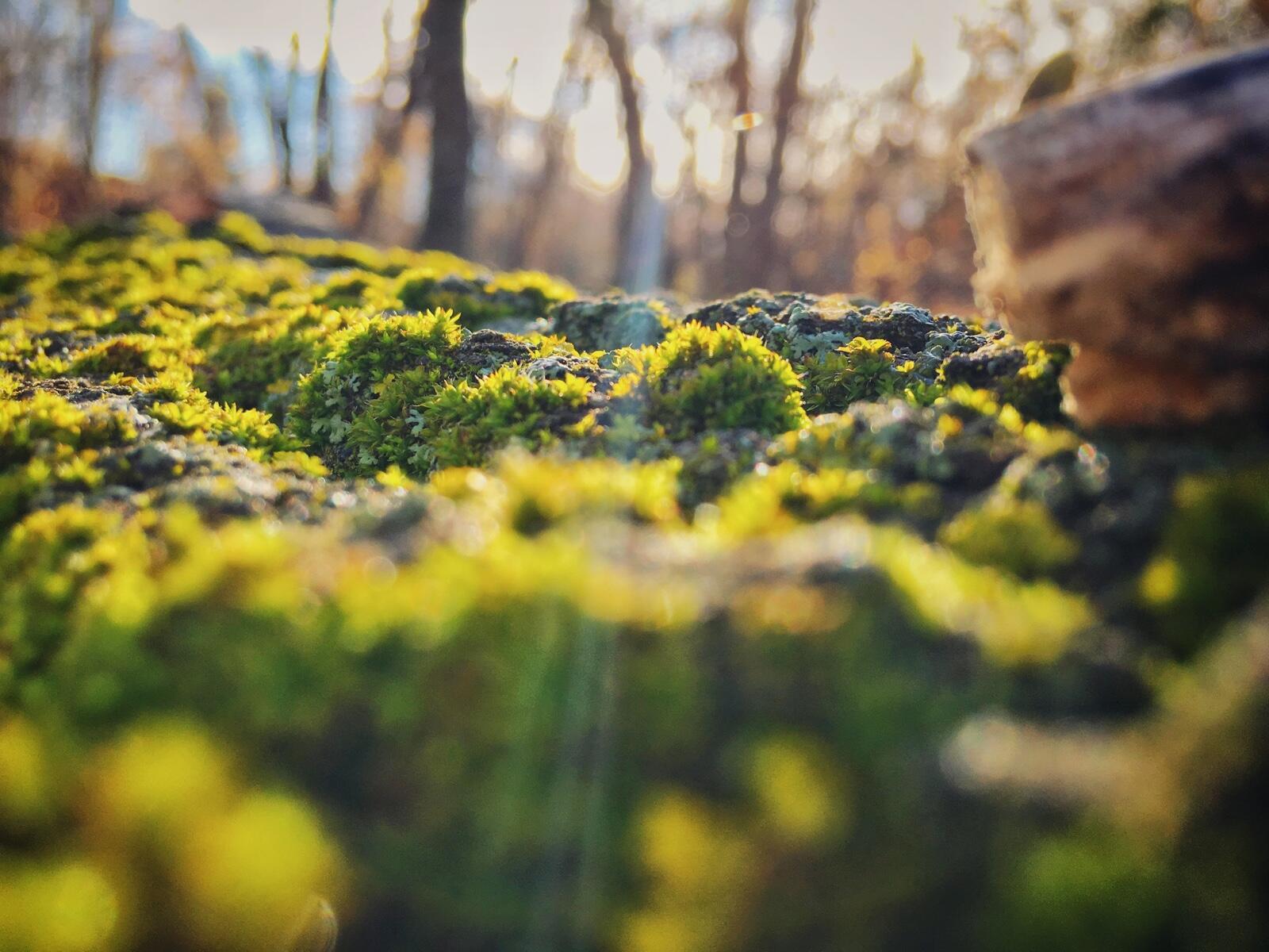 Bild ohne Beschreibung Bild ohne Beschreibung