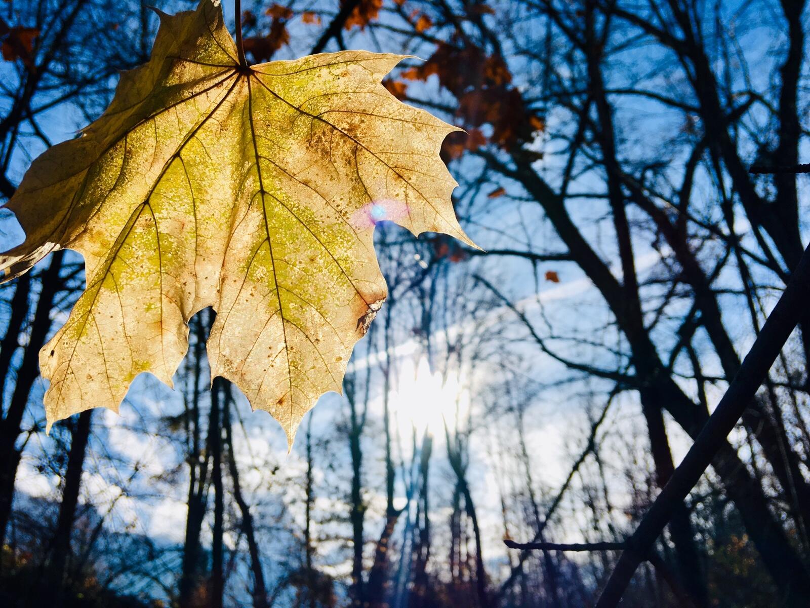 Bild ohne Beschreibung Bild ohne Beschreibung