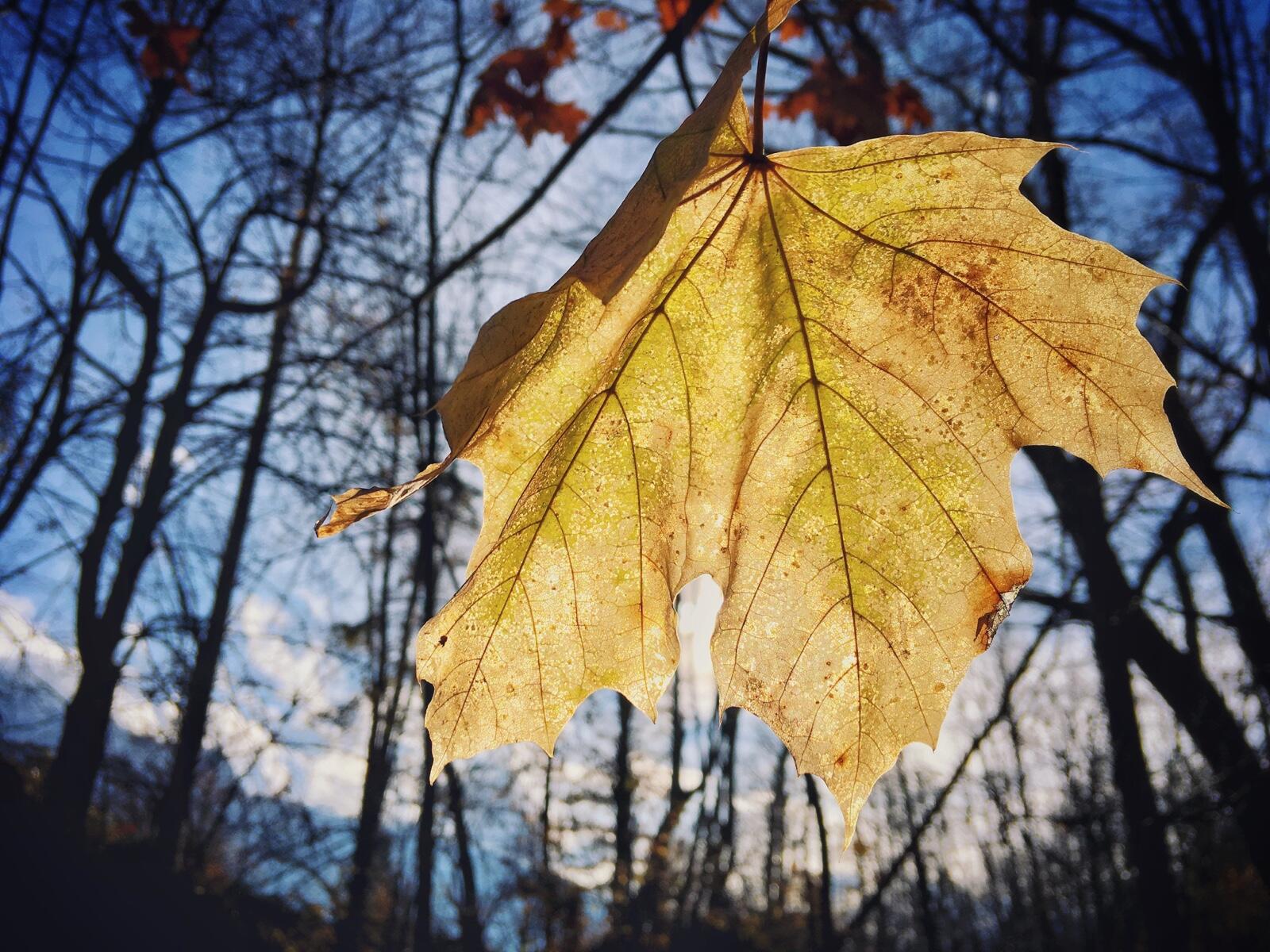 Bild ohne Beschreibung Bild ohne Beschreibung