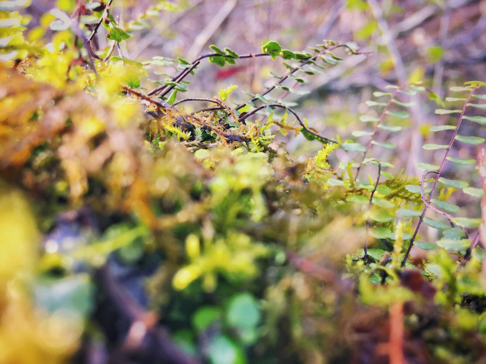 Bild ohne Beschreibung Bild ohne Beschreibung
