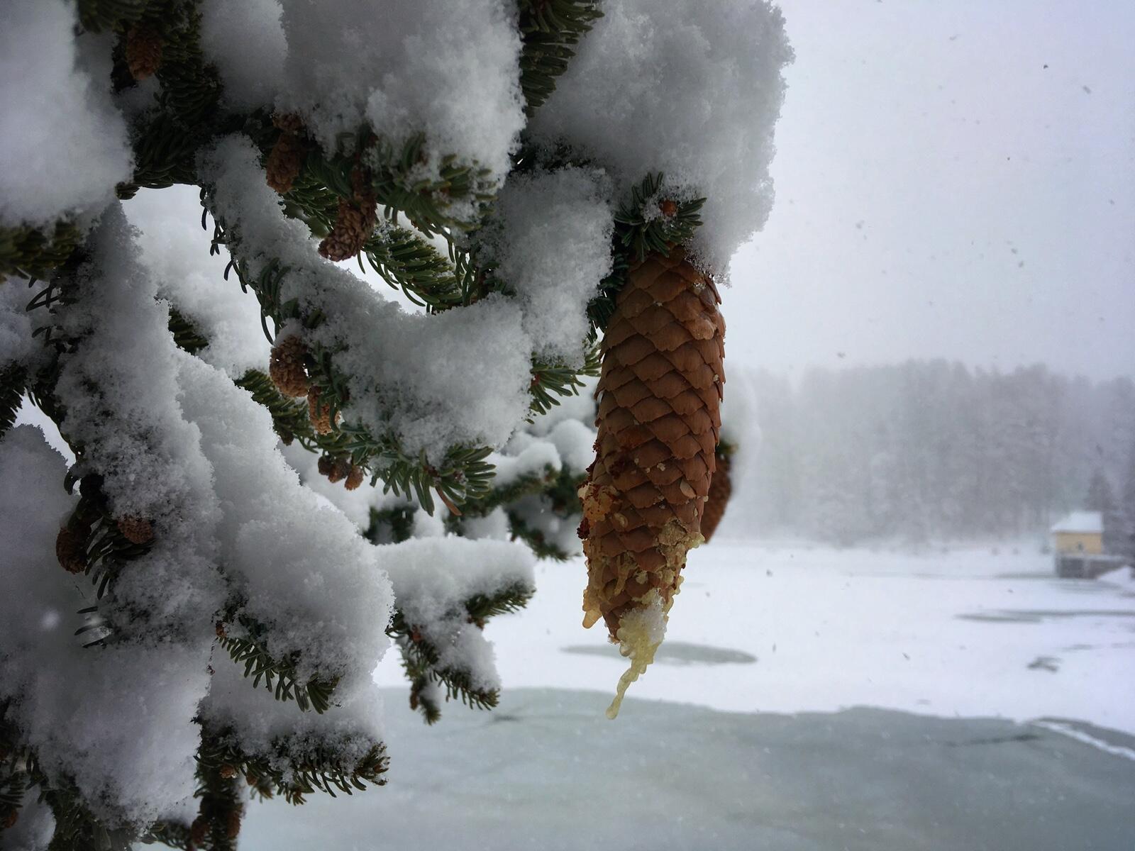 Bild ohne Beschreibung
