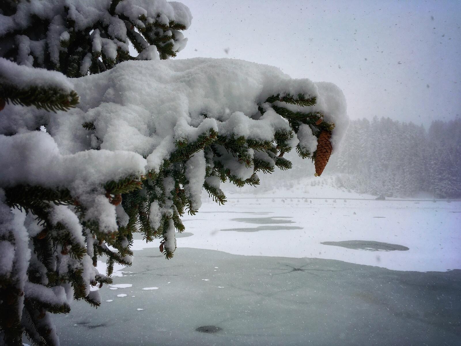 Bild ohne Beschreibung