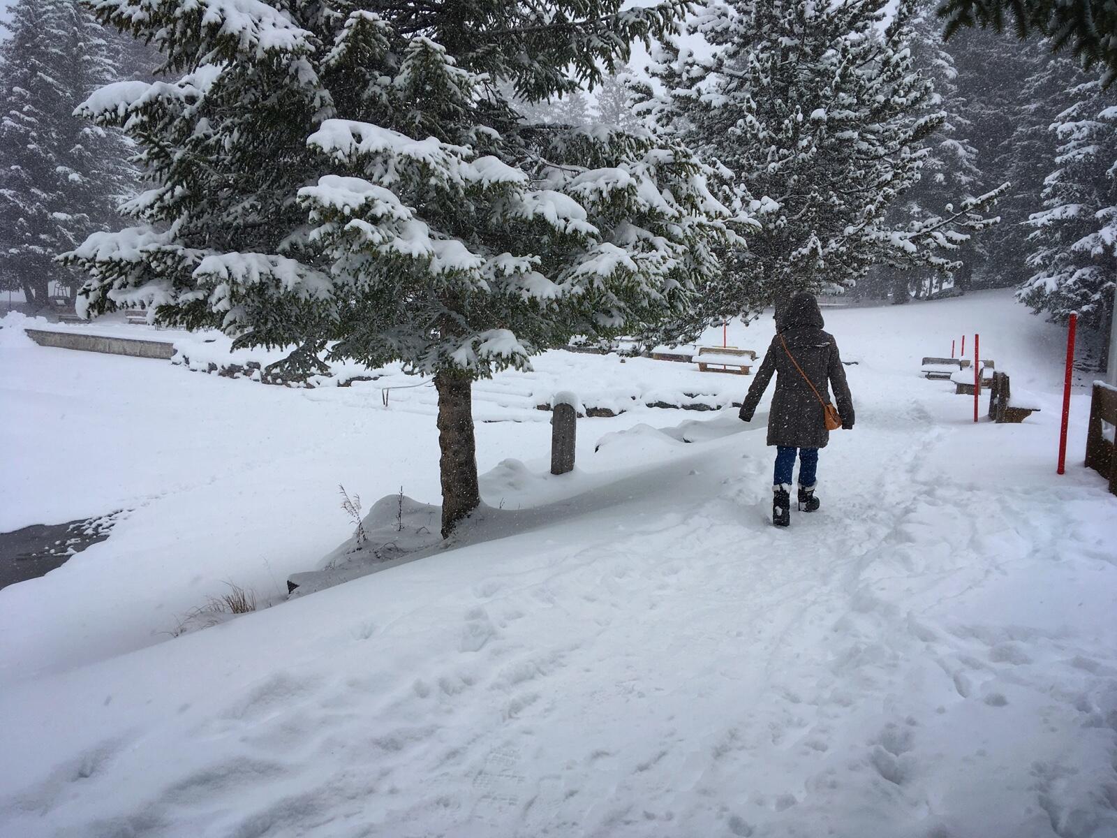 Bild ohne Beschreibung