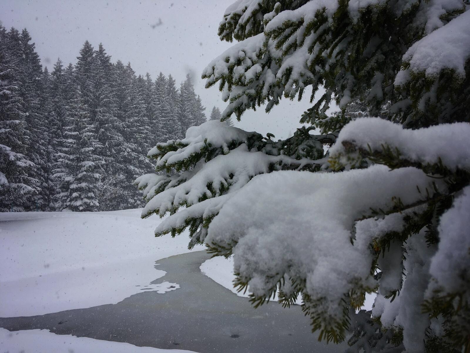 Bild ohne Beschreibung