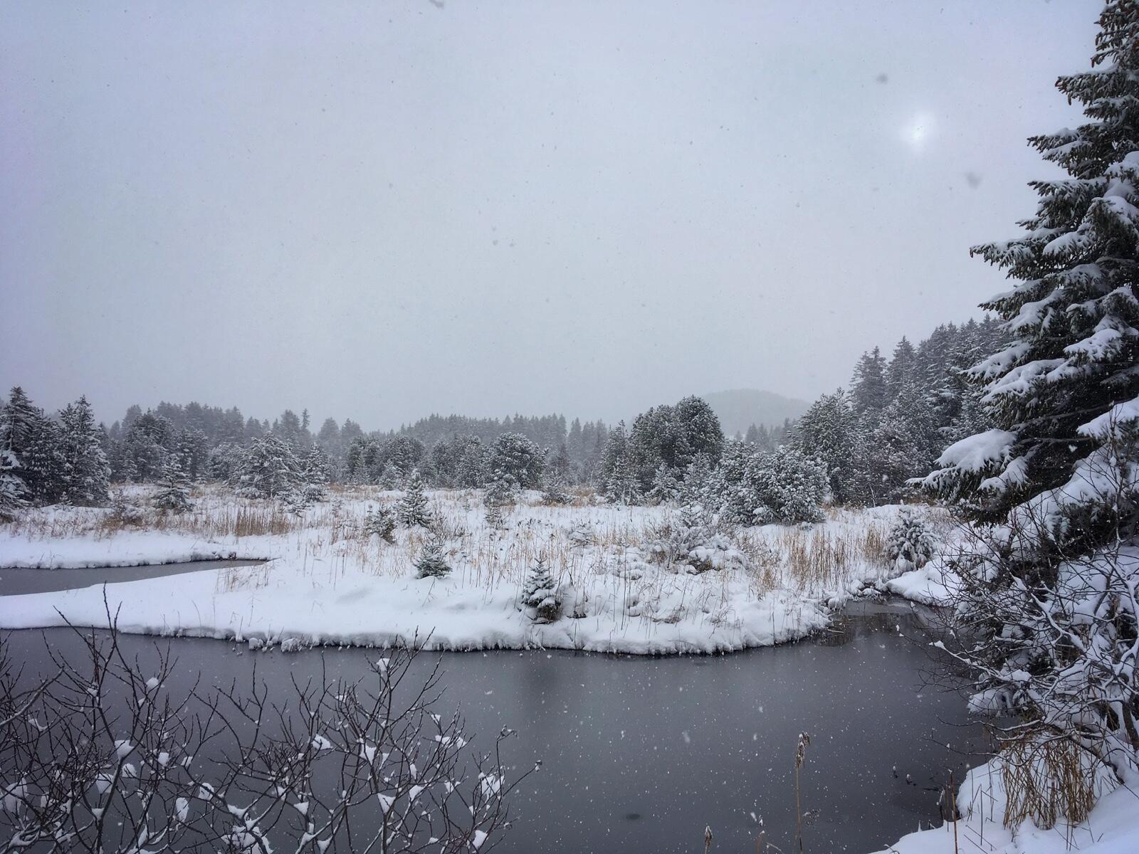 Bild ohne Beschreibung