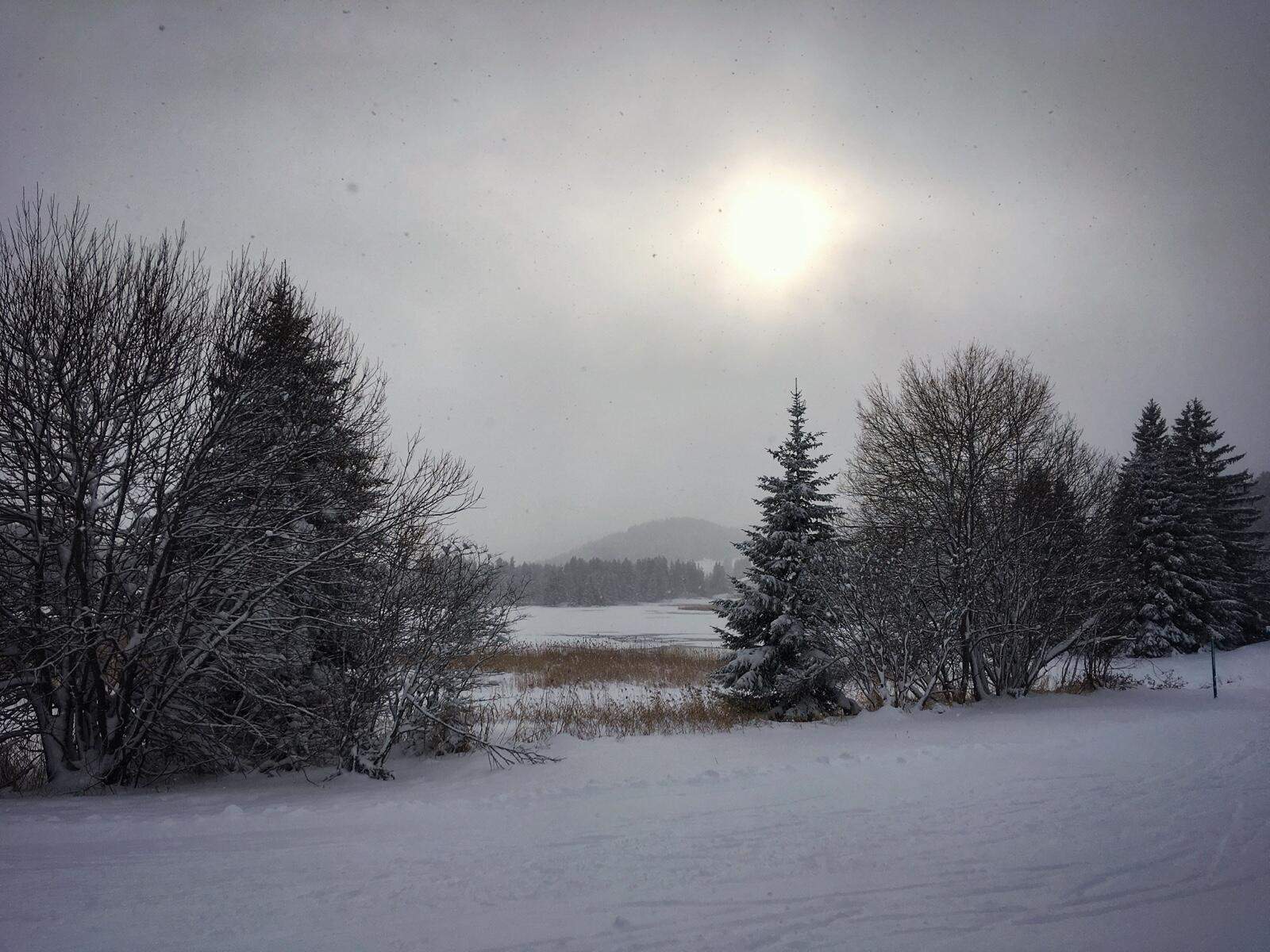 Bild ohne Beschreibung