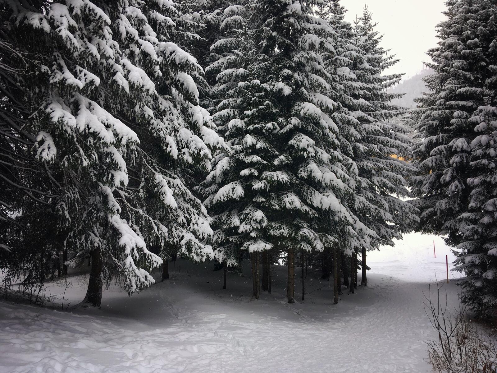 Bild ohne Beschreibung