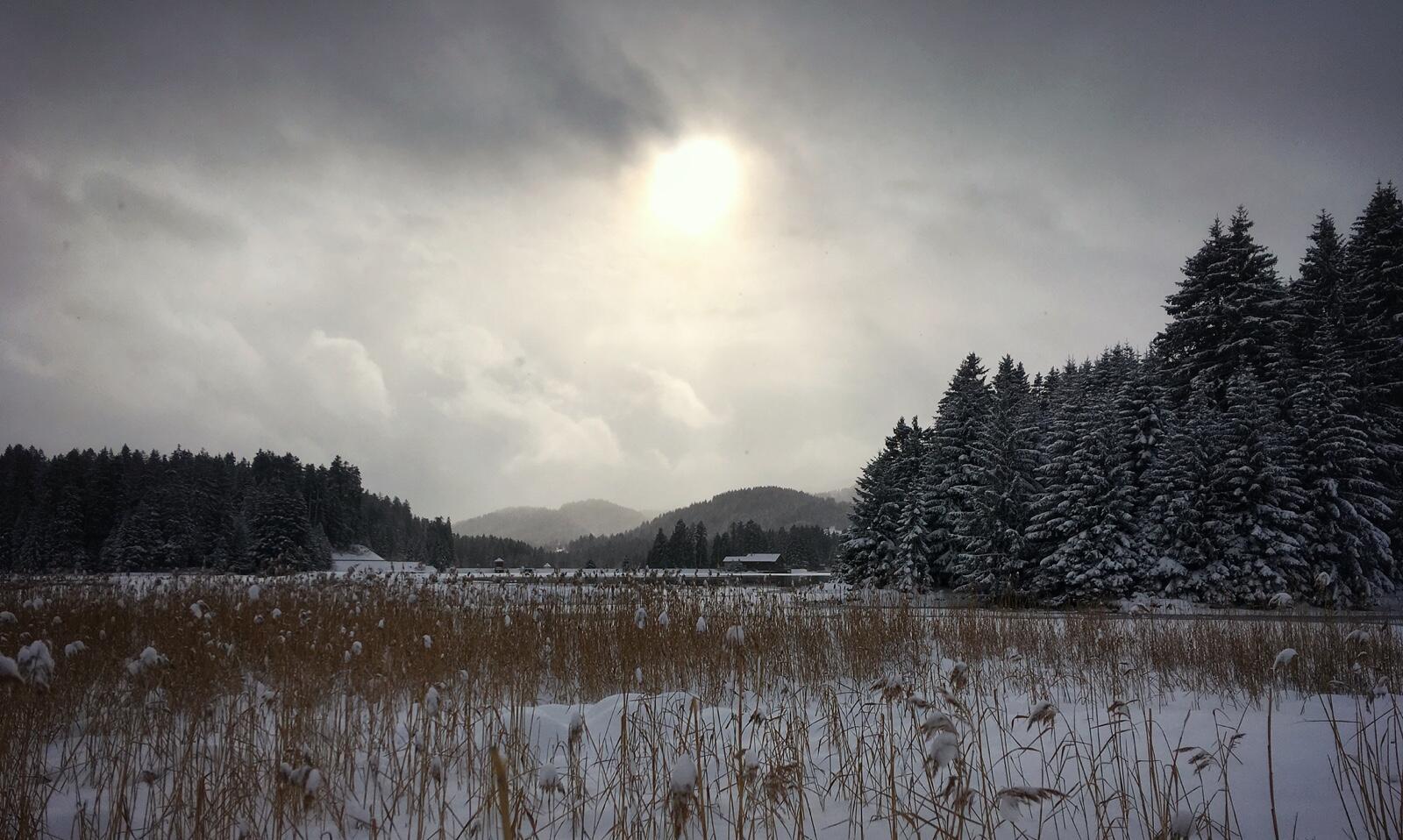 Bild ohne Beschreibung