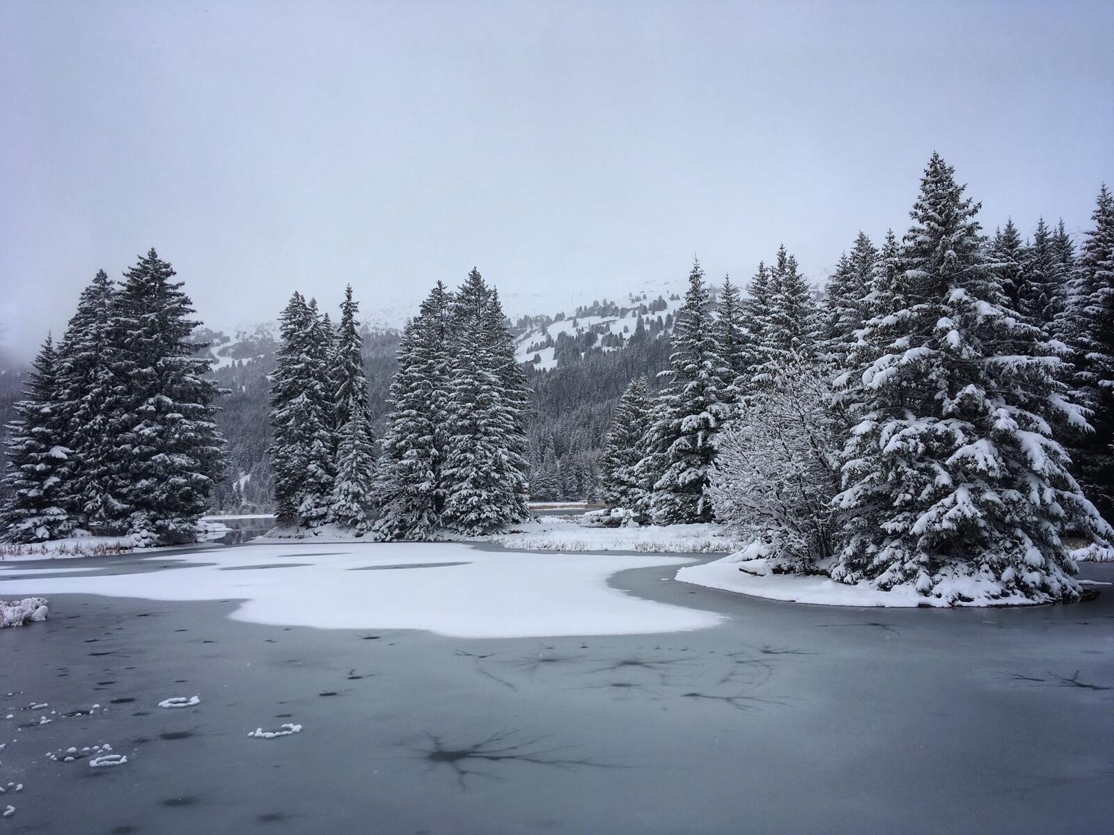 Bild ohne Beschreibung