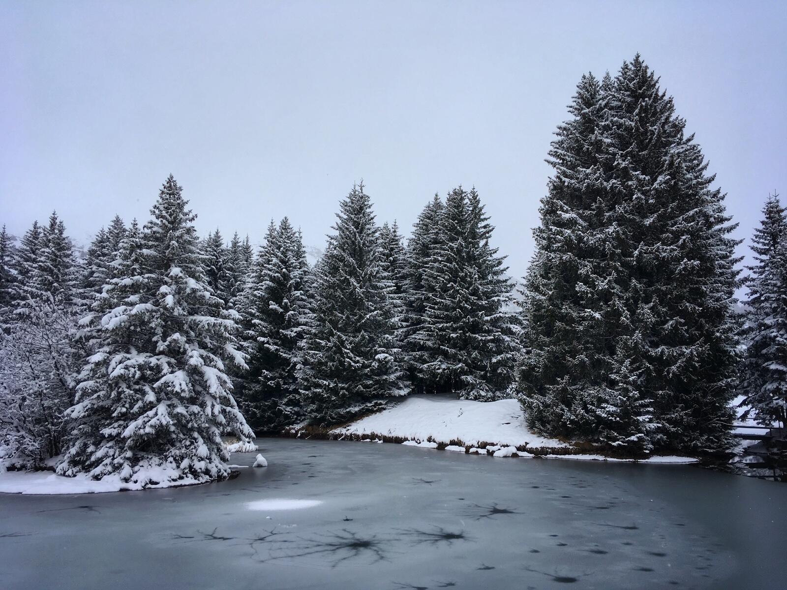 Bild ohne Beschreibung