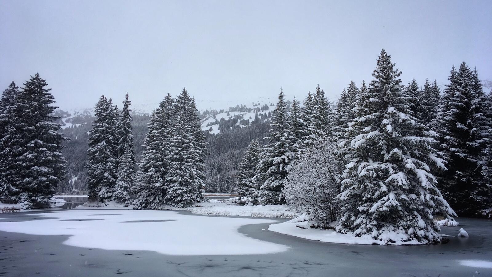 Bild ohne Beschreibung