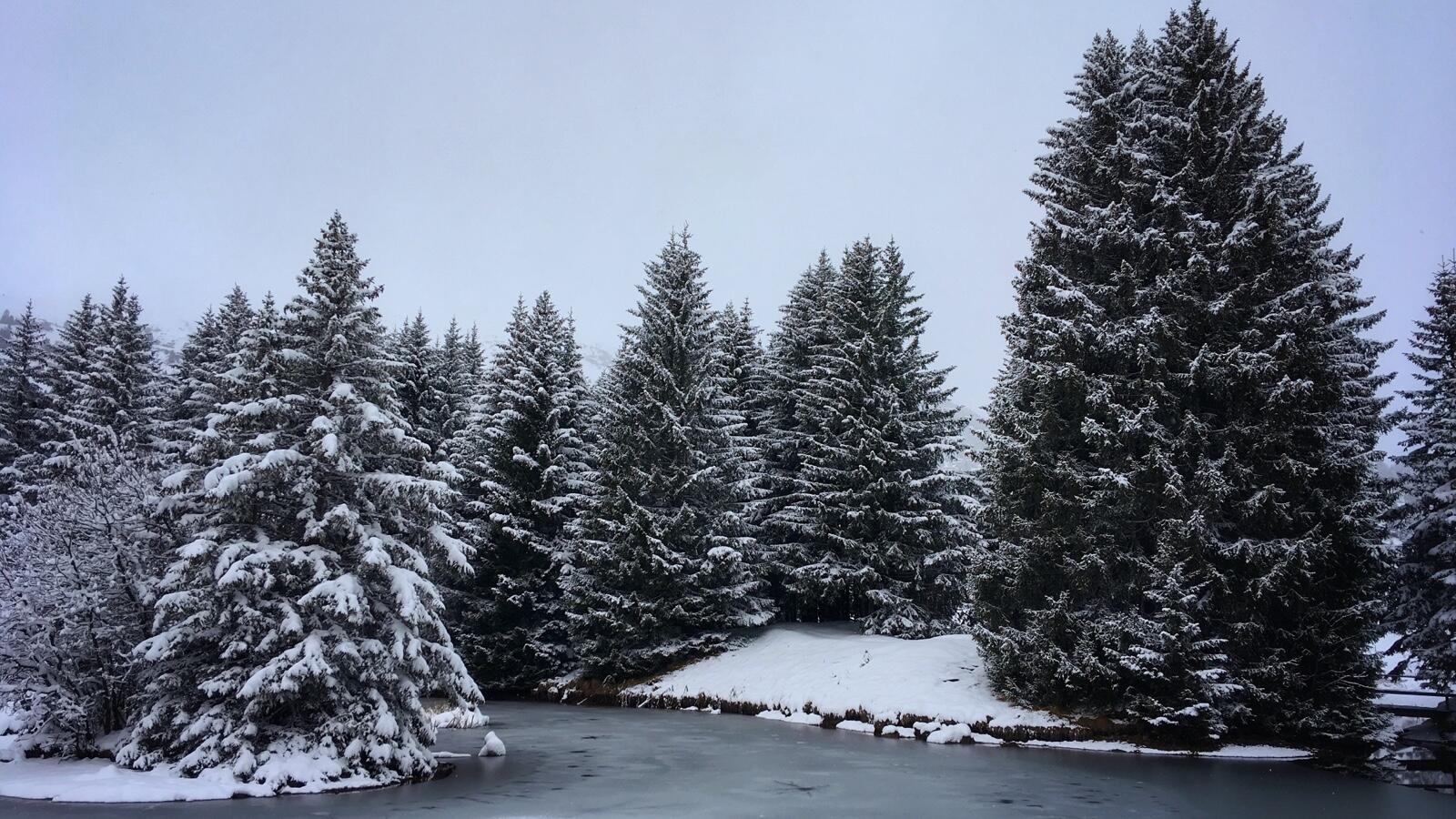 Bild ohne Beschreibung