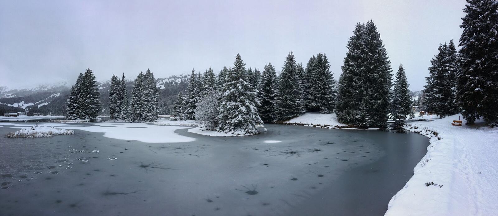 Bild ohne Beschreibung