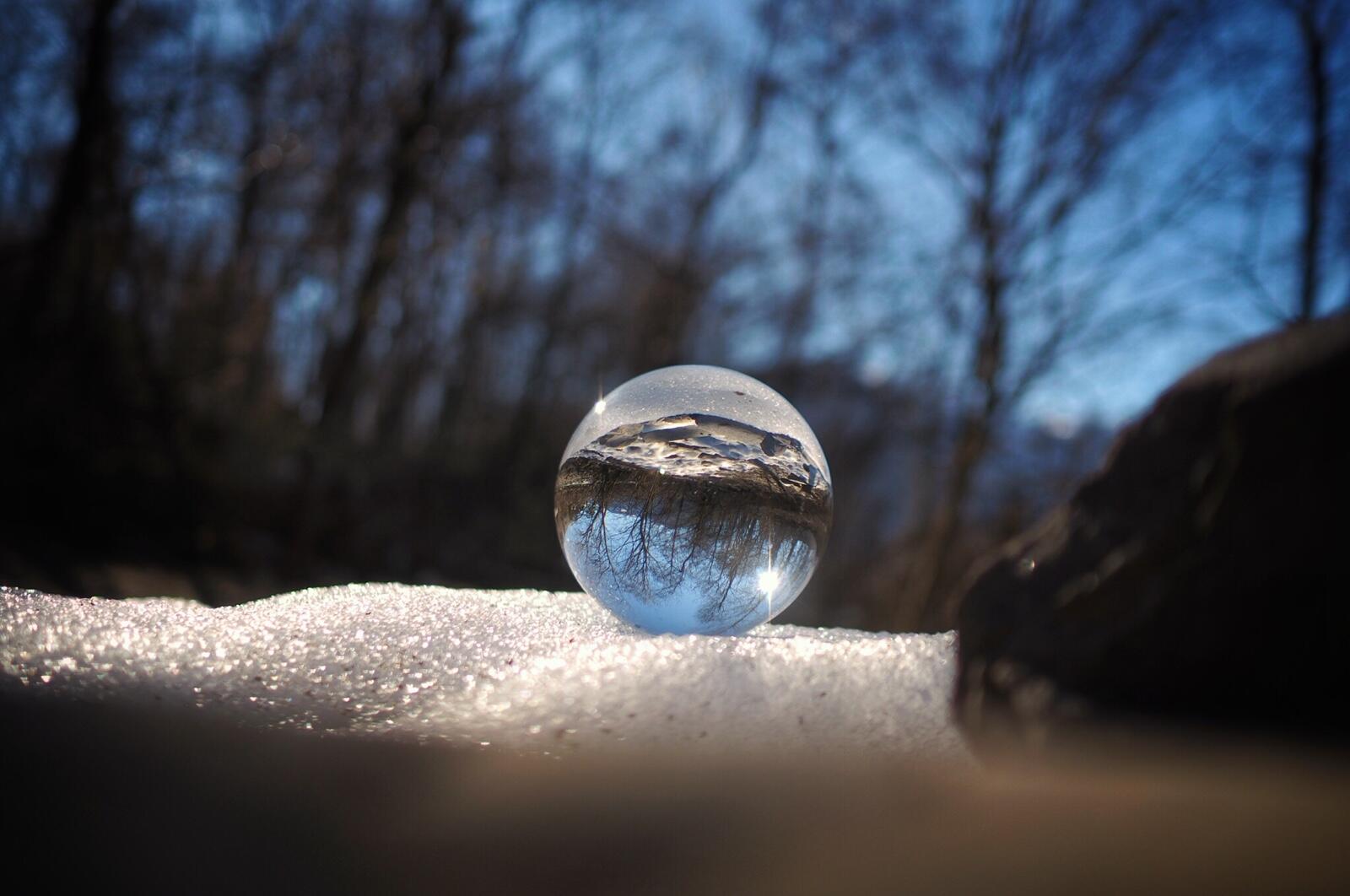 Bild ohne Beschreibung